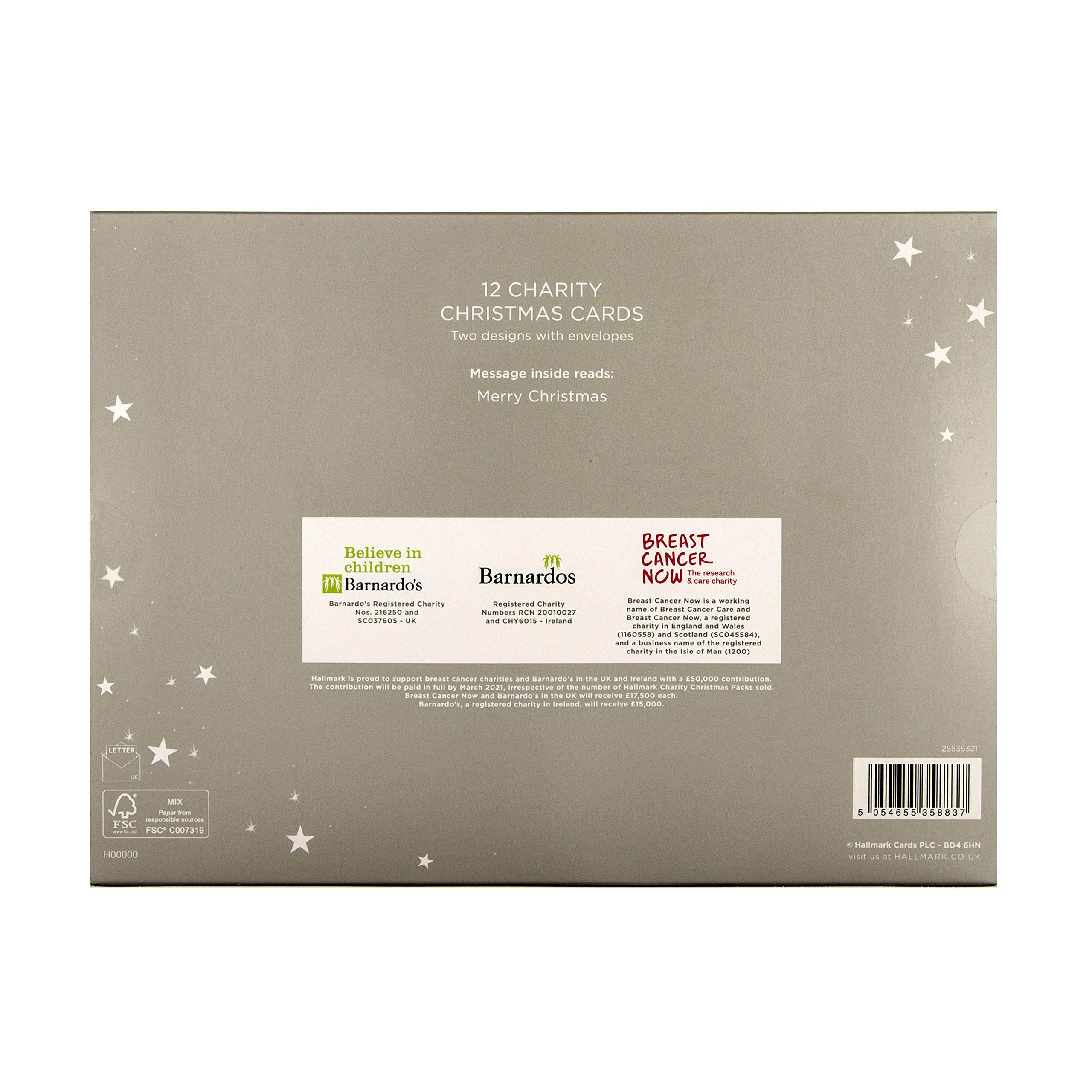 Hallmark Cute Characters Boxed Charity Christmas Cards - 12 Cards in 2 Vintage Designs for Holiday Greetings & Gift Giving