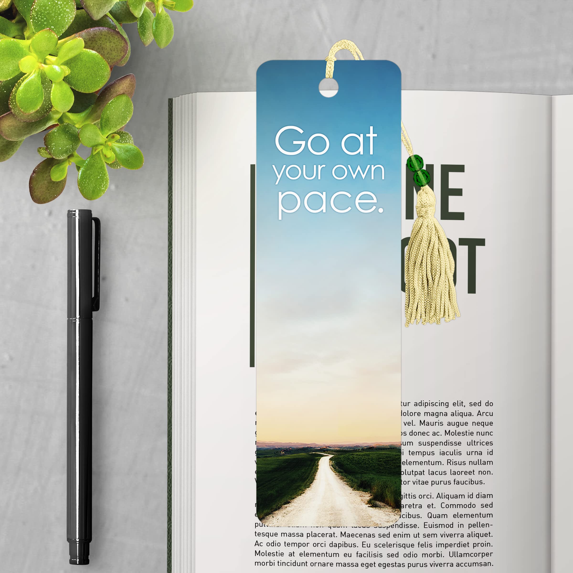 Trends International Go at Your Own Pace - Motivational Wall Poster for Home & Office Decor - Perfect for Gym, Bedroom, or Workspace Inspiration