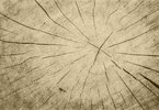 Cut Tree