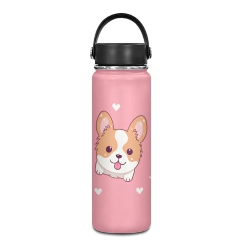 0 Cute Corgi Dog