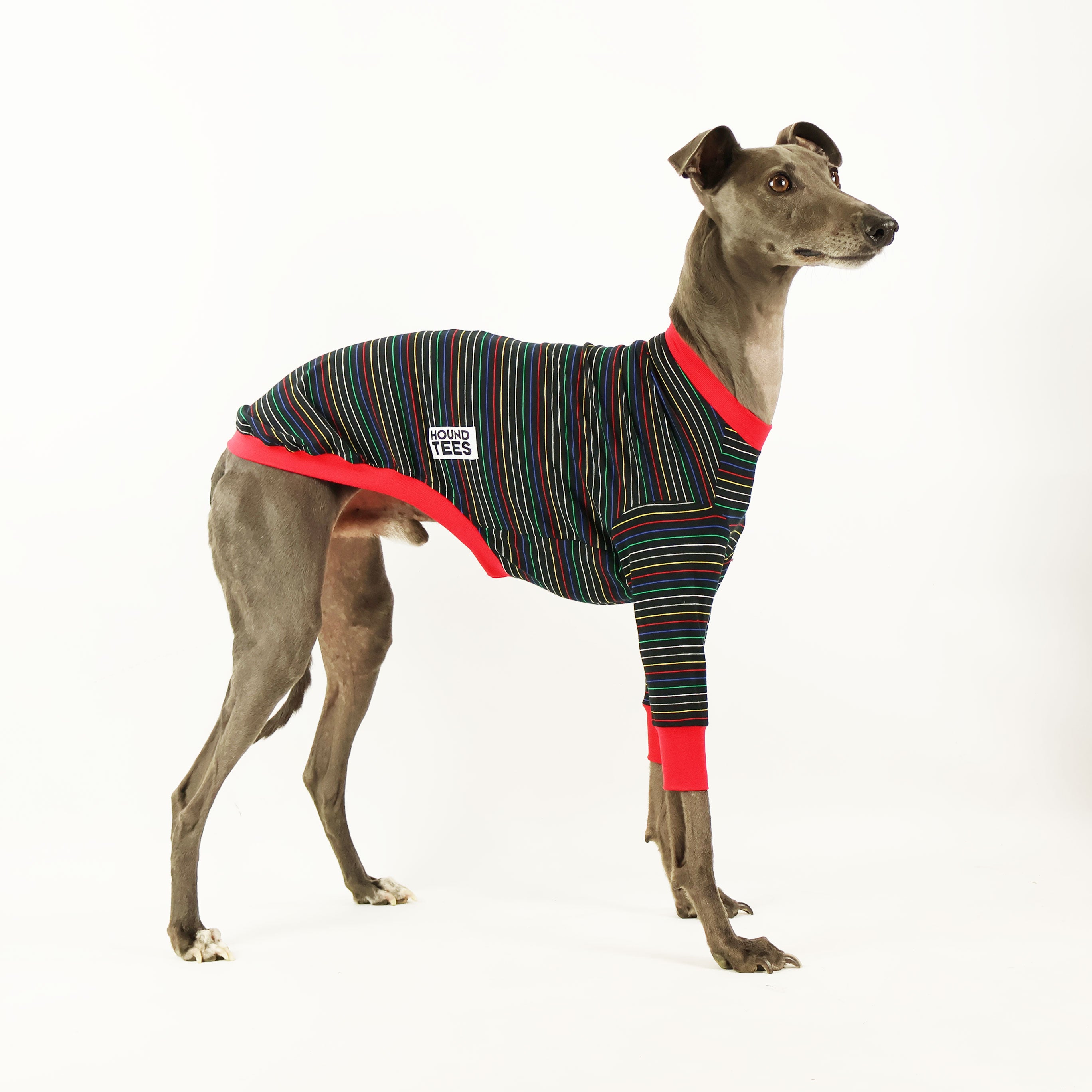 Whippet Long Sleeve Christmas Dog Shirt - Festive Hound Apparel for Pet Lovers | Perfect for Holiday Photos & Gifts