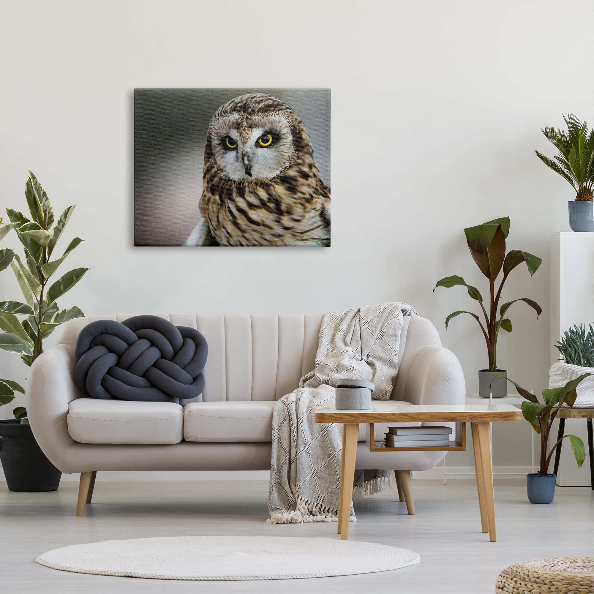 Stupell Industries Fierce Hunting Owl Wall Art - Modern Bokeh Photography Effect Canvas Print by Daniel Sproul - Perfect for Living Room, Bedroom & Office Decor