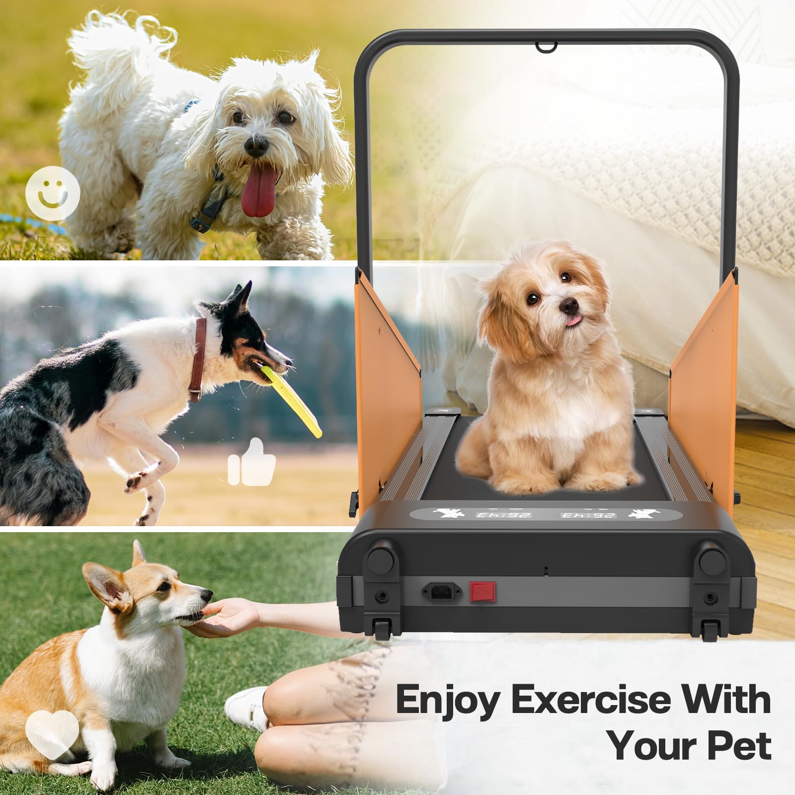 Small & Medium Dog Treadmill with Remote Control - Indoor Pet Exercise Machine for Training & Fitness - Includes Pre-Set Programs for Home Use, Dog Running & Weight Management