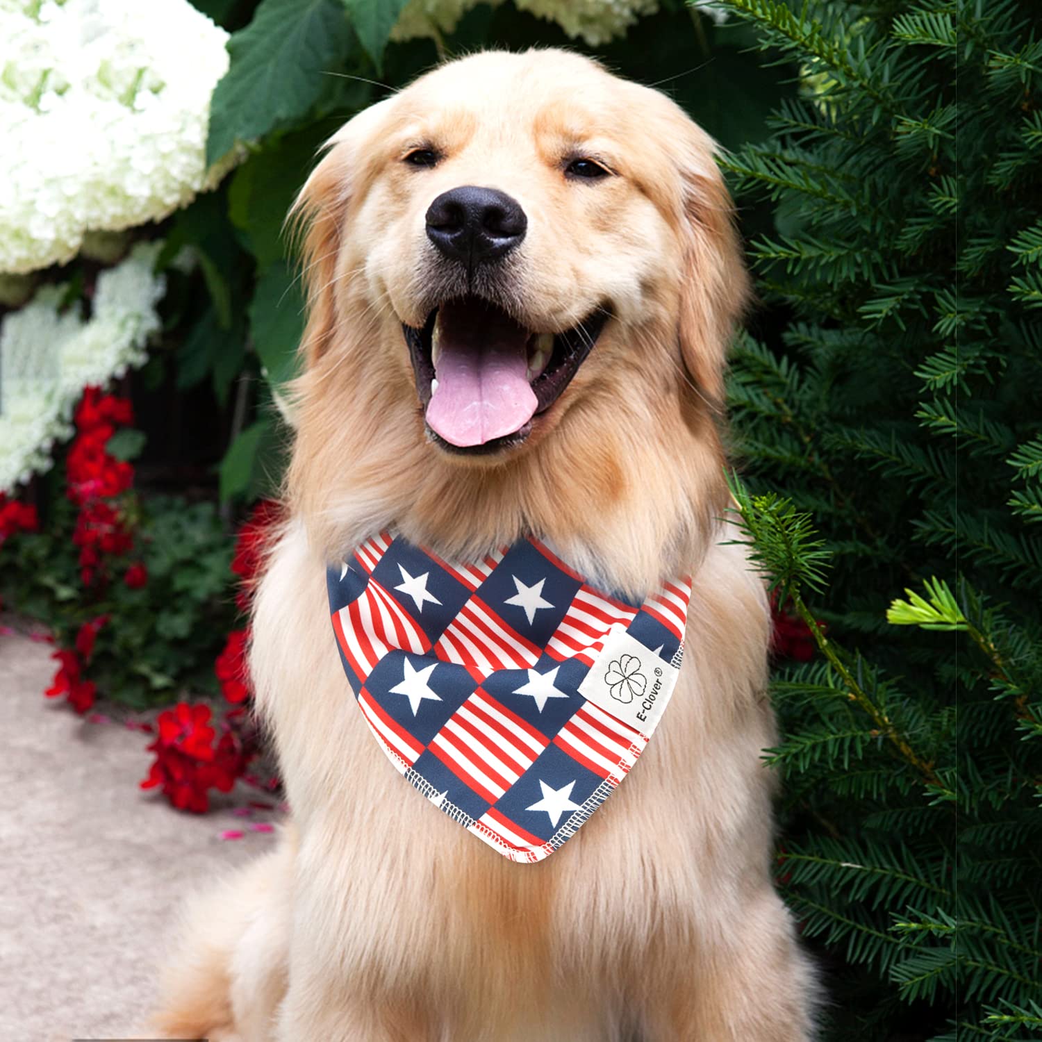 E-Clover 4th of July Patriotic Dog Bandana & Matching Scrunchie Set - American Flag Washable Dog Scarf, Pet Bandana Kerchief for Medium & Large Dogs - Perfect for Independence Day Celebrations, Parades, and Patriotic Pet Photos
