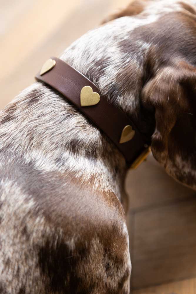 Premium Brown Leather Dog Collar with Heart Decor - Adjustable Sizes (XS-XL) for Small to Large Dogs | Perfect for Walks, Training & Fashion Accessories