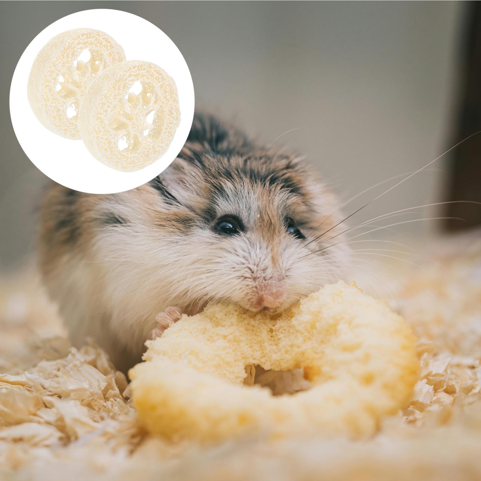 Natural Loofah Chew Toys for Small Pets - Hamster, Rabbit, Chinchilla, Guinea Pig & Bird Chewing Toy - Safe Cage Shredder & Enrichment Activity for Rabbits, Parrots & Rodents (Random Color) - Perfect for Cage Play, Teeth Trimming & Stress Relief