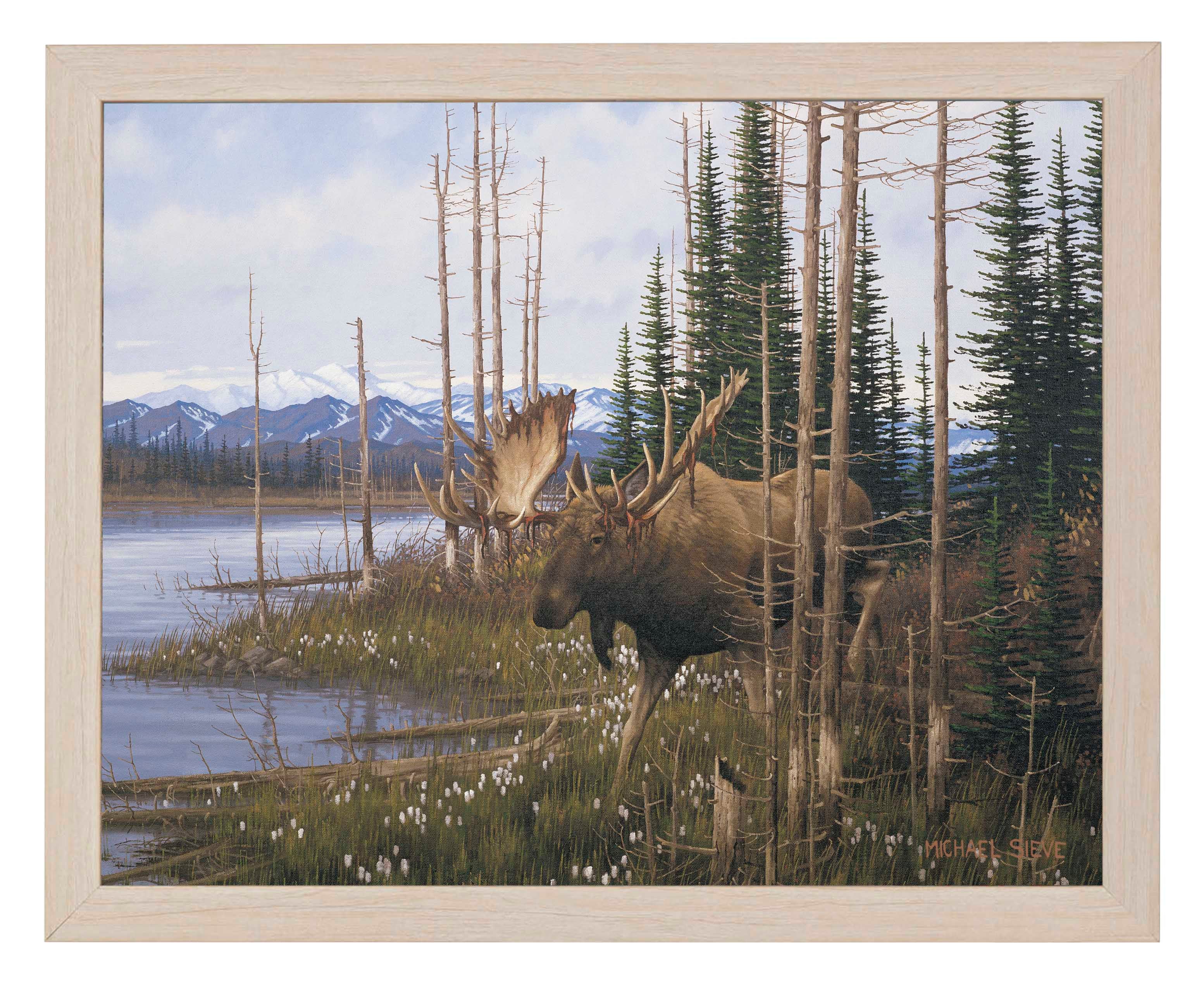 Premium Cotton Grass Meadow Moose Wall Art Print - Nature Wildlife Decor for Living Room, Bedroom & Office