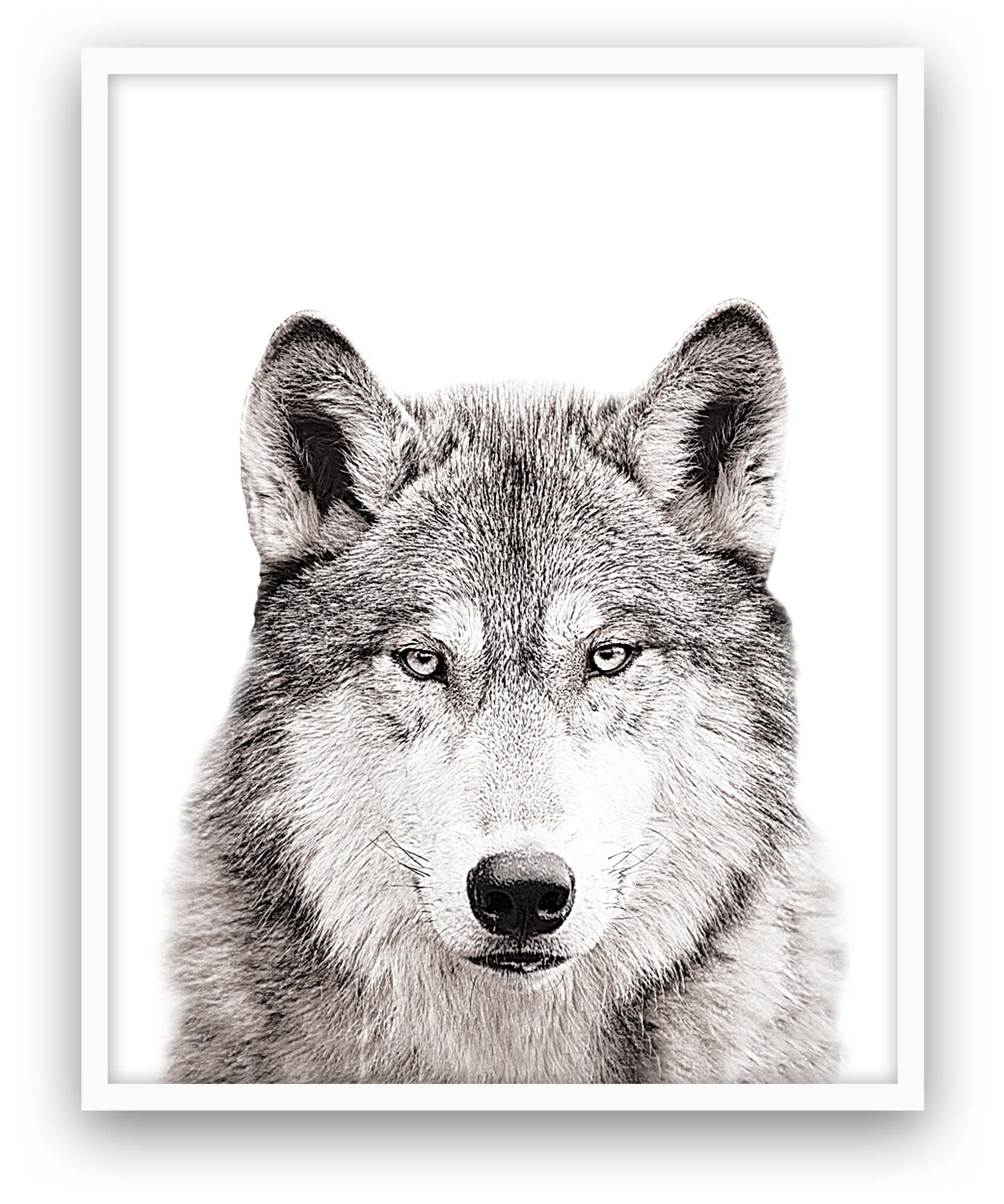 Wolf Close Encounters Collection Framed Art Print with Glass - 19x23 Inches - Nature & Wildlife Wall Decor for Home, Office, or Cabin