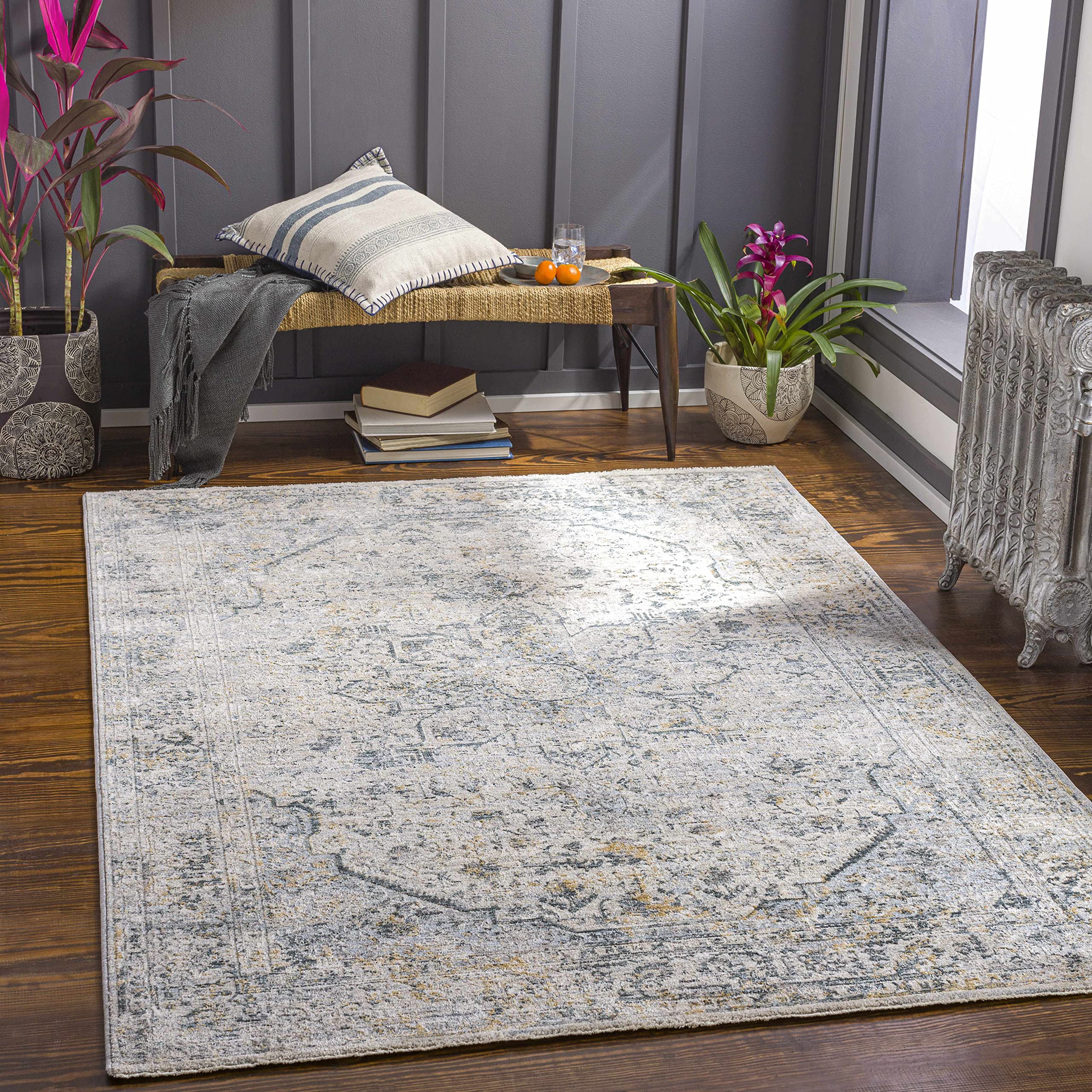 Hauteloom Anmoore Soft Area Rug for Living Room & Bedroom - 5'3