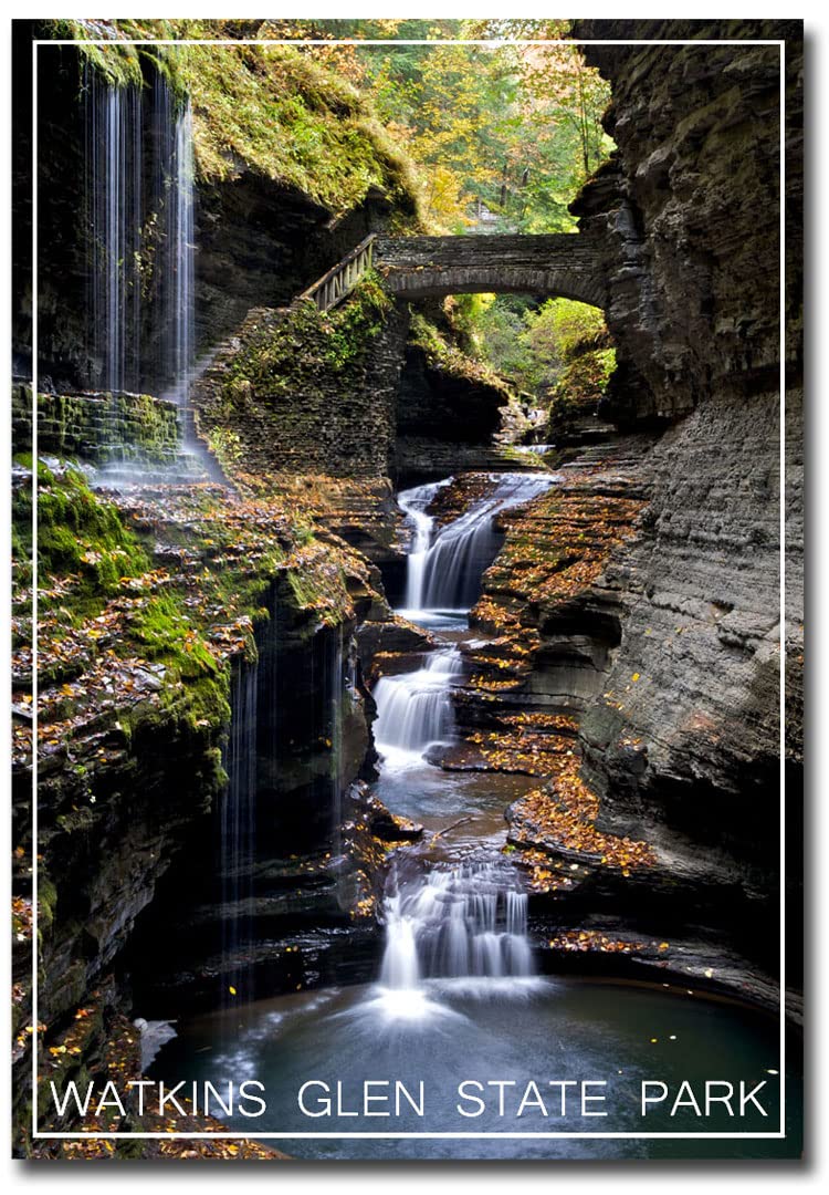 Watkins Glen State Park NY Travel Refrigerator Magnet 2.5