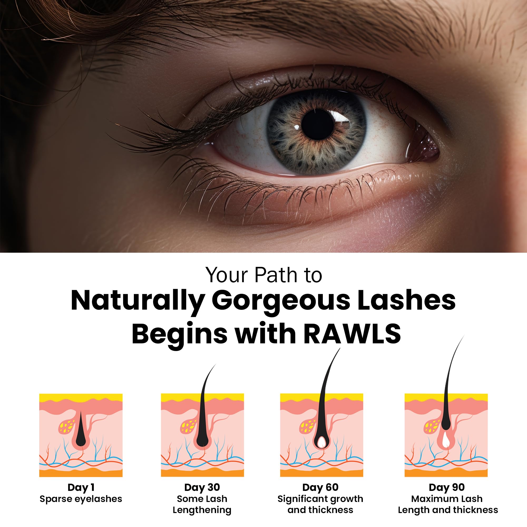Rawls Eyelash & Eyebrow Growth Serum - Natural Formula with Almond Oil, Castor Oil & Vitamin E for Thicker, Fuller Lashes & Brows | Sulfate & Paraben Free | 5ml | Perfect for Nighttime Care & Daily Lash Enhancement