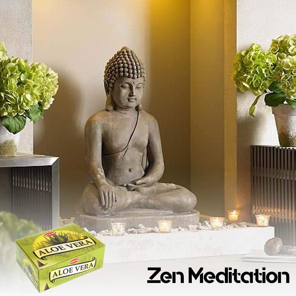 Premium HEM Incense Aloe Vera Sticks - Pack of 12 Boxes (10 Cones Each) | Authentic Indian Incense for Meditation, Yoga & Aromatherapy | Creates Relaxing Atmosphere at Home, Spa or Office