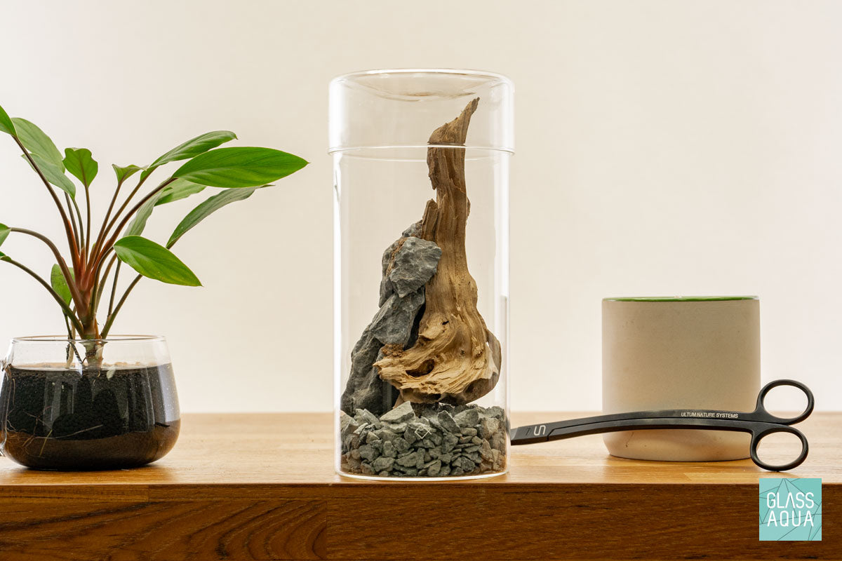 Miniature Terrarium Kit 006 - DIY Glass Garden with Live Plants & Decorative Stones for Home Office Decor | Perfect for Gifts, Desk Decorations & Relaxation Therapy
