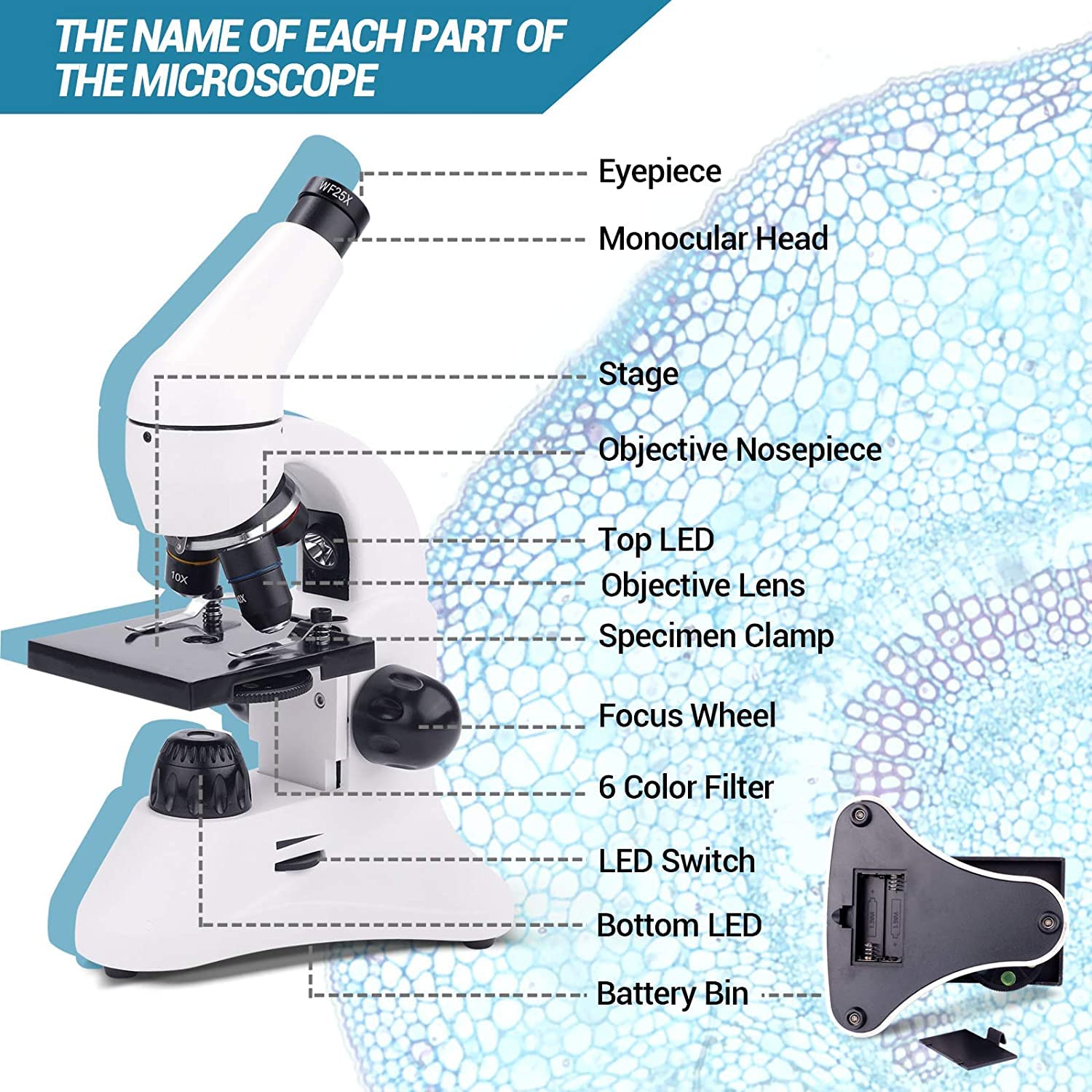 USCAMEL 100X-2000X Biological Compound Monocular Microscope Kit with LED Illumination, Slides & Phone Adapter - Professional & Beginner Microscope for Adults, Kids, Students - Perfect for School Labs, Home Education & Scientific Exploration