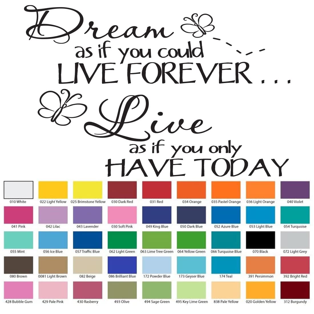 Inspirational Vinyl Wall Decal Quote - 'Dream as if You Could Live Forever, Live as if You Only Have Today' - Perfect for Home, Office & Bedroom Decor