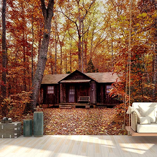 Forest-2001-y04