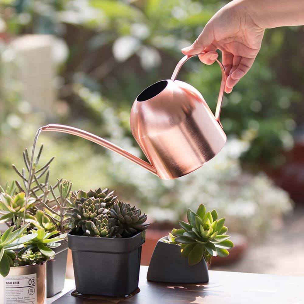 Rose Gold Watering Can - Mini Metal Watering Pot with Long Spout for Indoor & Outdoor Plants | Perfect for Houseplants, Succulents, Balcony Gardens and Flower Beds