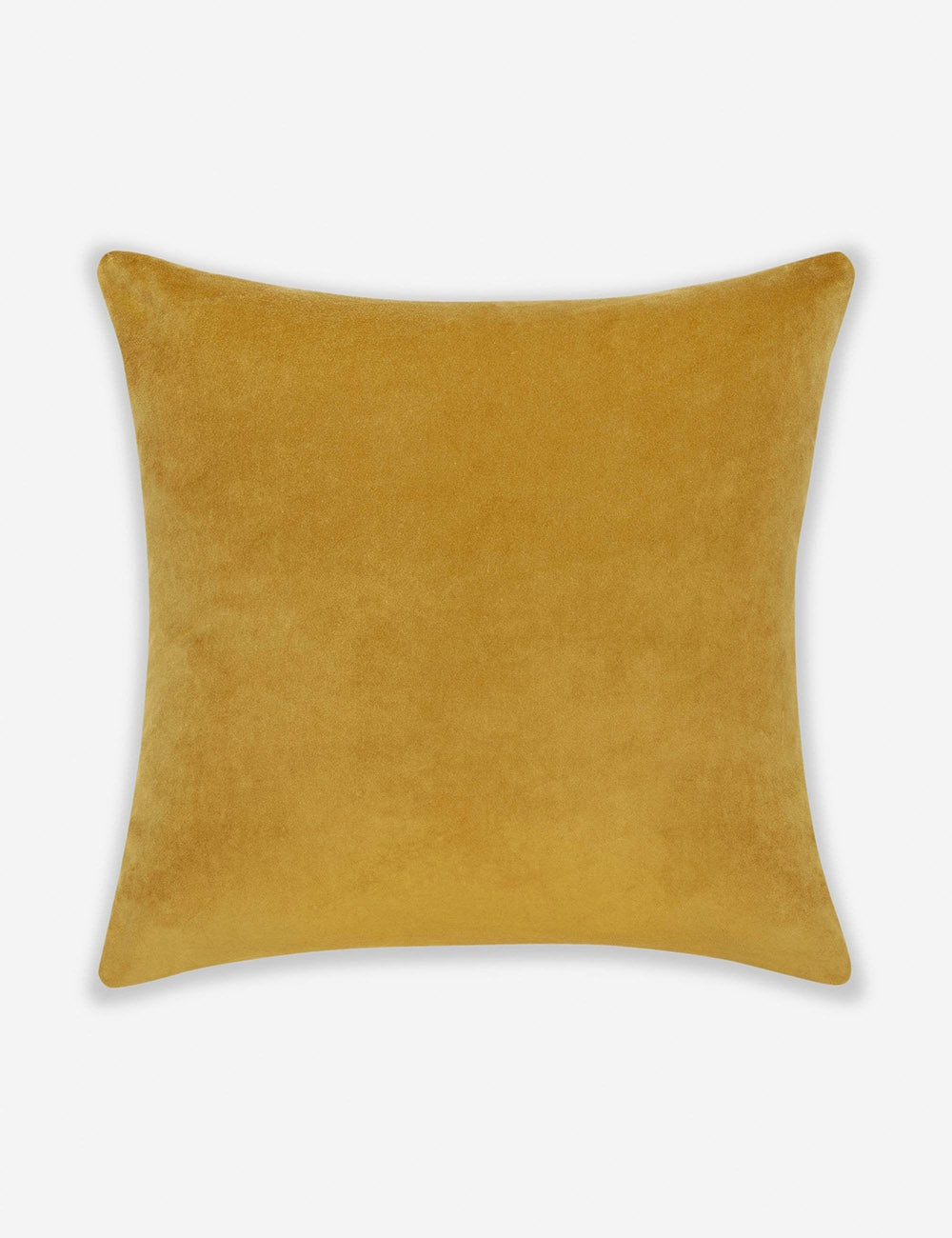 Charlotte Velvet Pillow - Soft Luxury Decorative Throw Pillow for Sofa, Bed & Couch - Perfect for Living Room, Bedroom & Home Decor