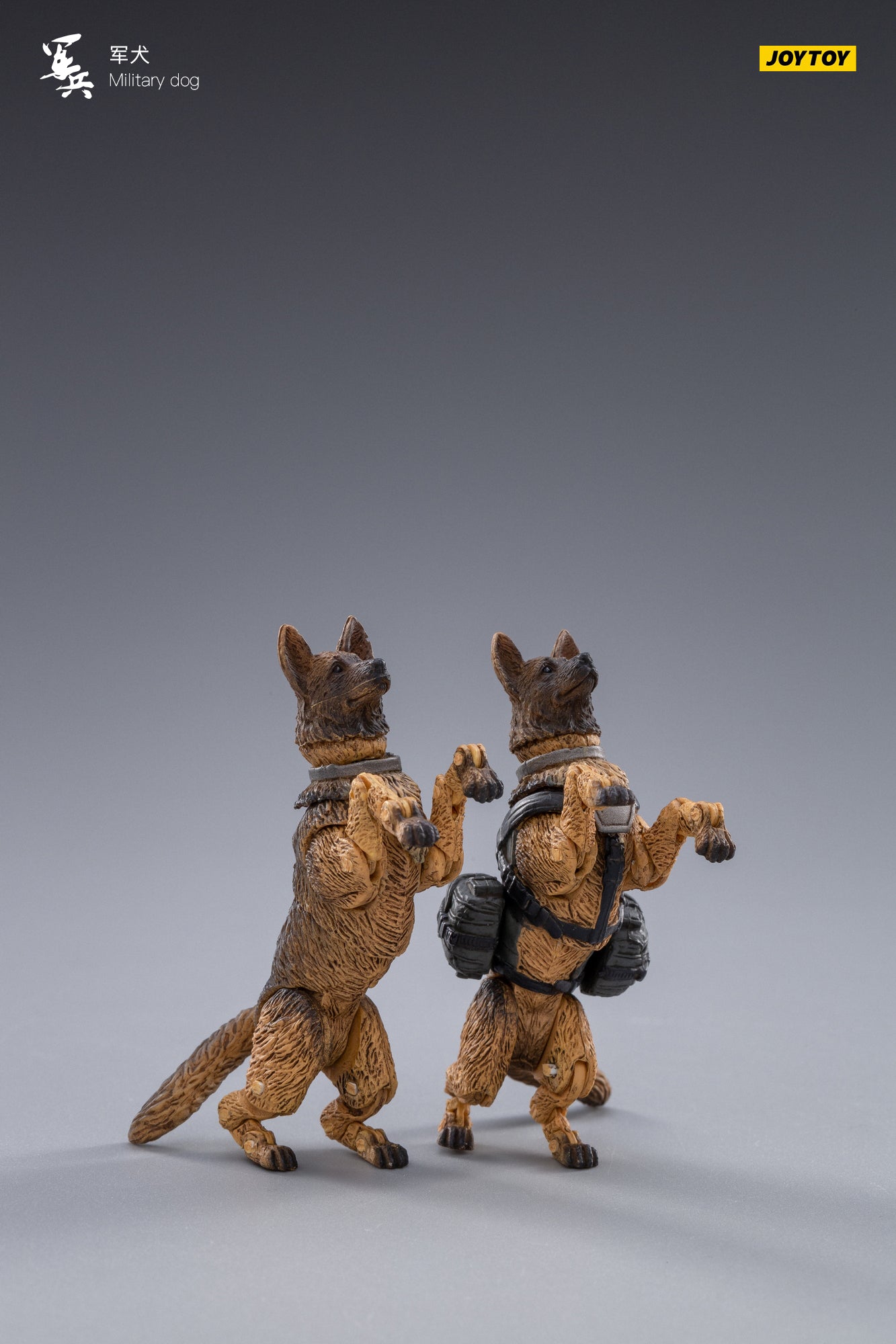 JOYTOY 1/18 Scale Military Dog Action Figure Set (2PCS) - Realistic Canine Collectible for Anime & Military Enthusiasts | Perfect for Display, Diorama Scenes & Toy Photography