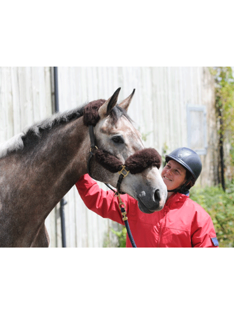 Premium Griffin Wool Headcollar Set for Horses - Soft & Durable Equestrian Training Gear - Perfect for Dressage, Show Jumping & Daily Stable Use