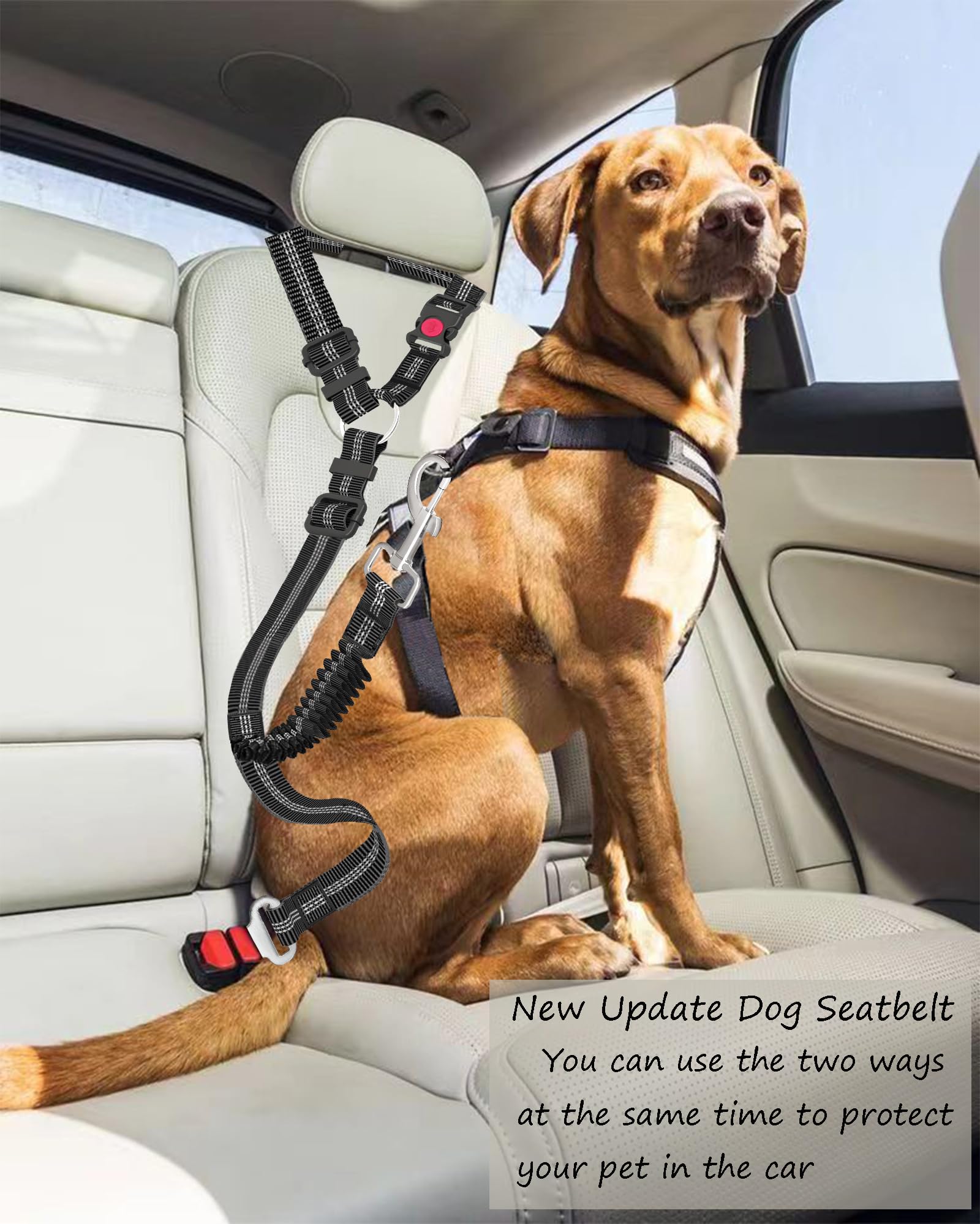 Upgraded Dual-Use Dog Seat Belt for Car - Bungee Retractable Adjustable Pet Safety Harness, Heavy Duty & Elastic Vehicle Headrest Leash for Small Medium Large Dogs (Black) - Perfect for Road Trips & Safe Car Rides