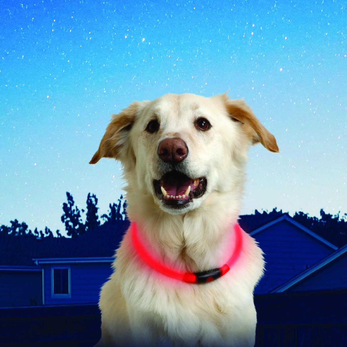 Nite Ize NITEHOWL® LED Safety Necklace - High Visibility Light Up Dog Collar for Night Walking, Running, and Outdoor Adventures