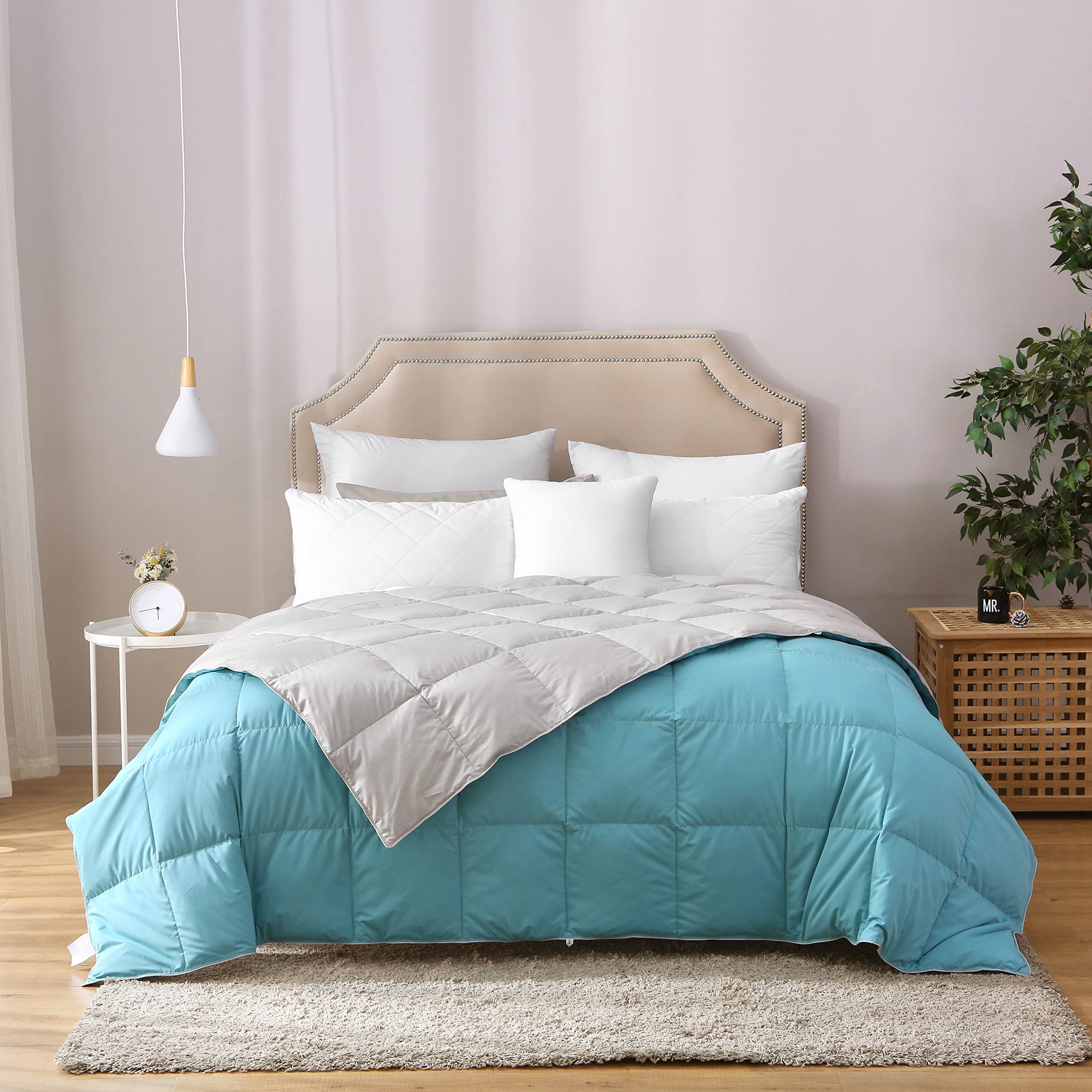 Premium 100% White Goose Down Comforter - Reversible Lightweight Summer Blanket & Duvet Insert with 800 Fill Power | Soft Down-Proof 500 Thread Count Natural Cotton Shell | Machine Washable, Noiseless | Perfect for Bedroom, Guest Room & Vacation Homes