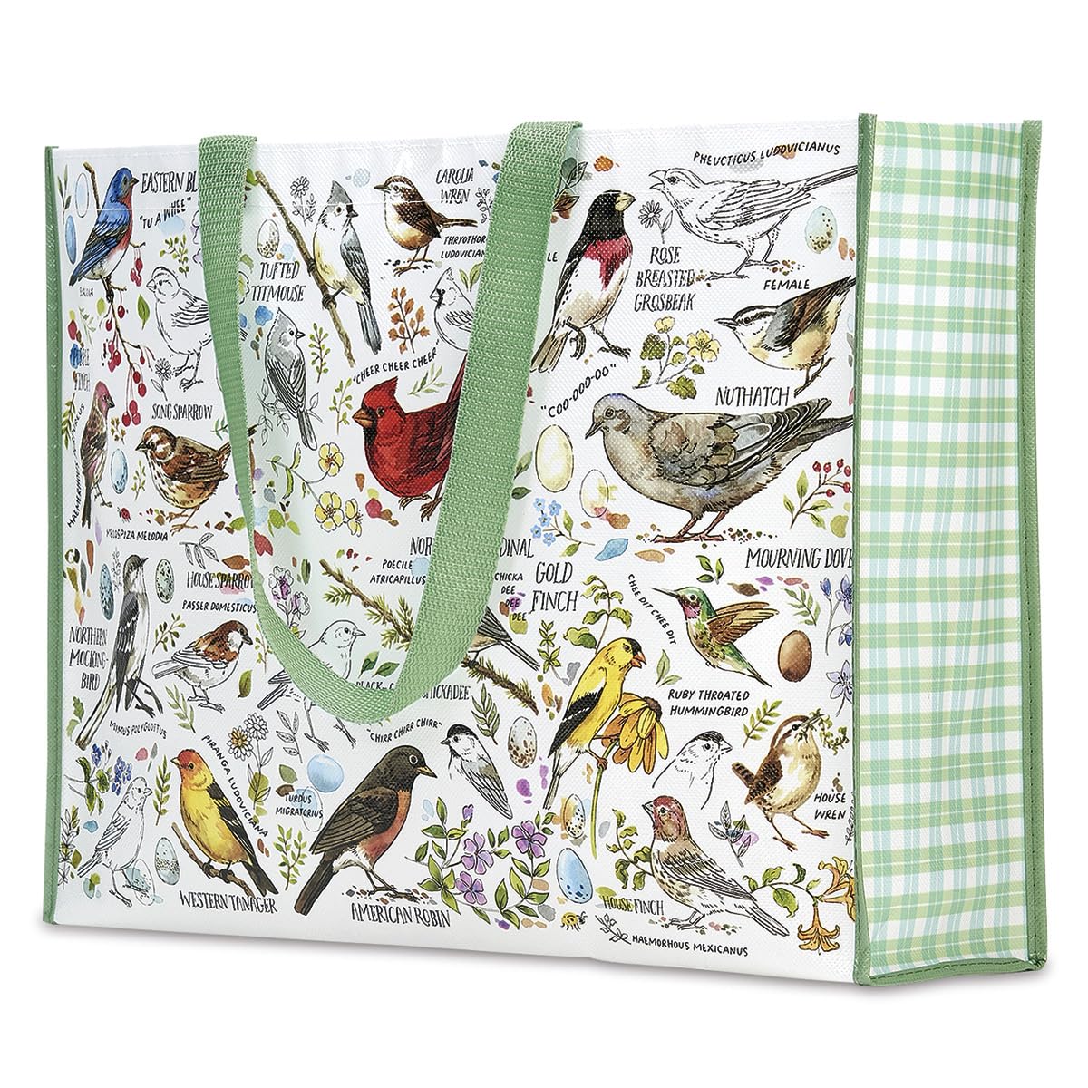 Eco-Friendly Large Reusable Shopping Tote Bags - Durable Grocery Bags for Supermarket, Beach & Travel - Washable & Foldable