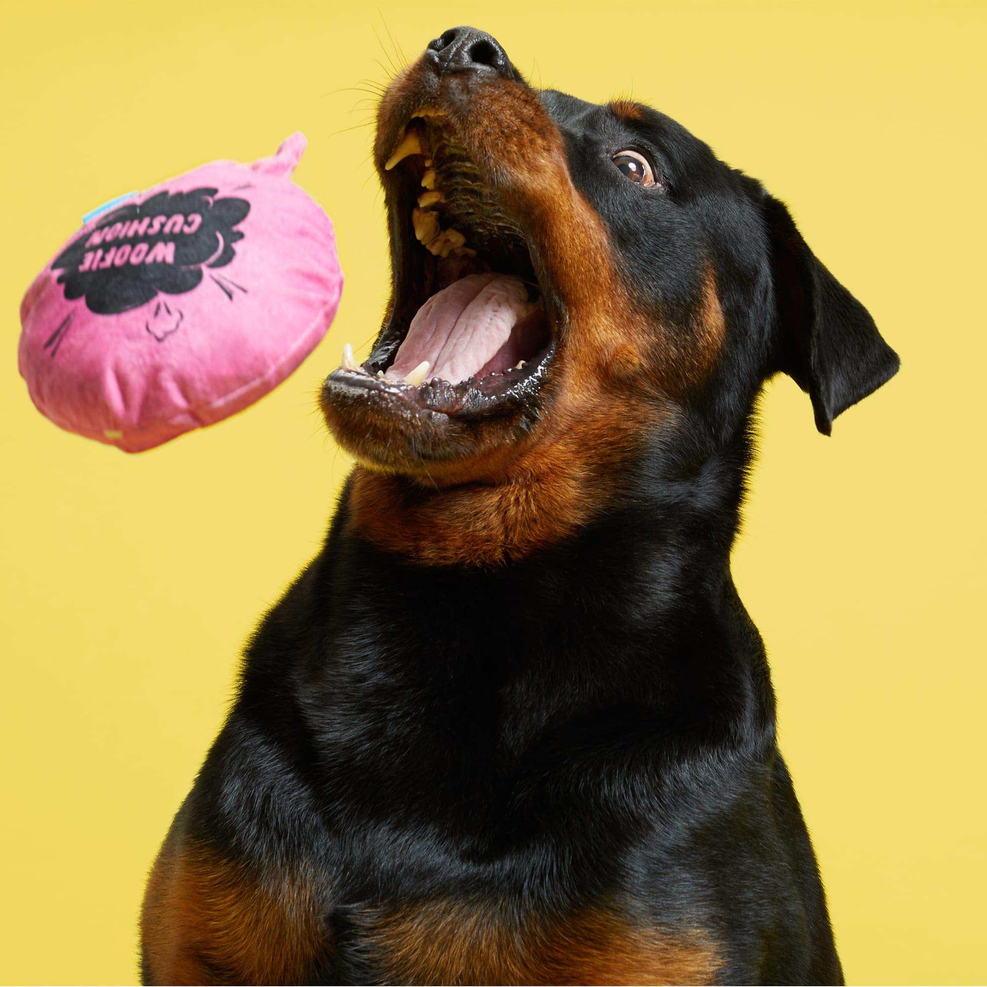 BARK Dog Fart Simulator Toy for Medium Dogs - Funny Noisemaker Prank Gag Gift for Pet Lovers - Perfect for Playtime, Pranks & Dog Parties