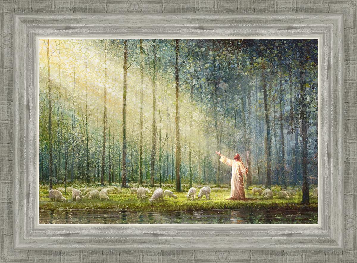 Rest By Yongsung Kim - Premium Comfort Blanket for Home & Travel | Cozy Throw for Bed, Sofa, Office & Camping