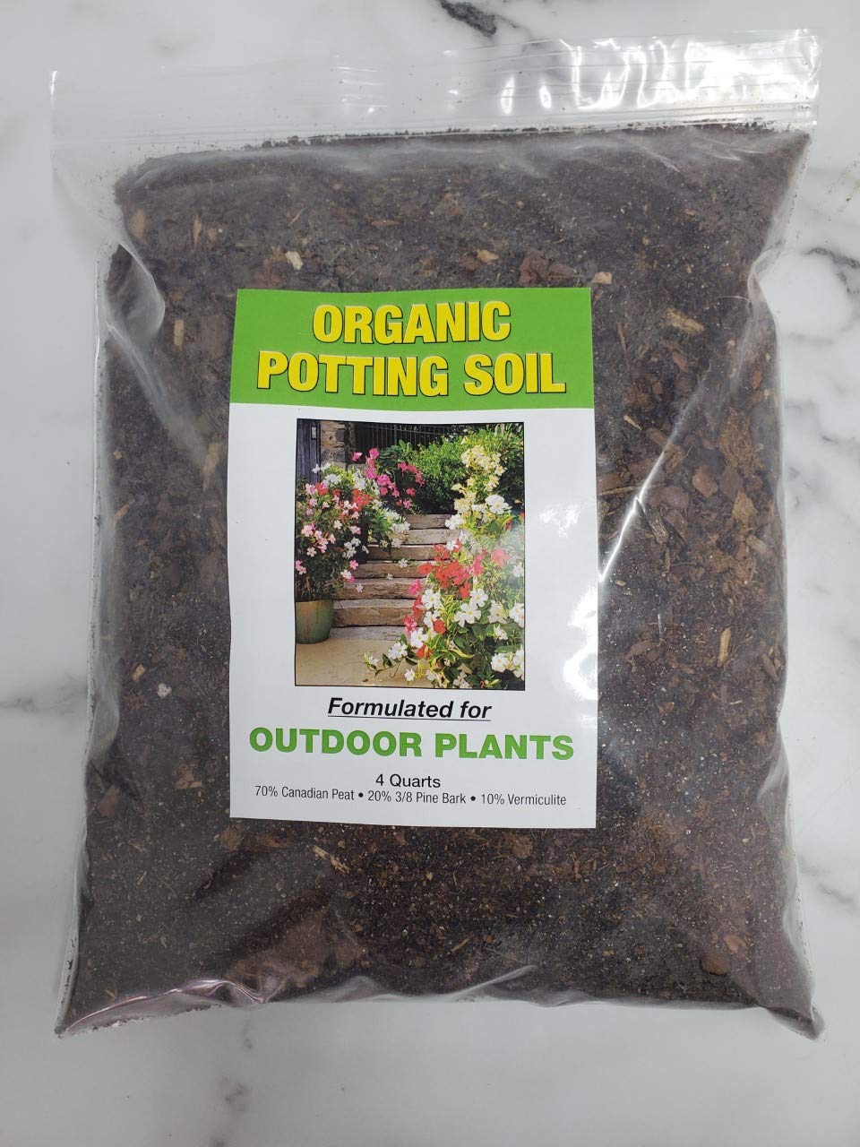 Citronella Mosquito Plant (Pelargonium Citrosum) - Live Outdoor Plant 12