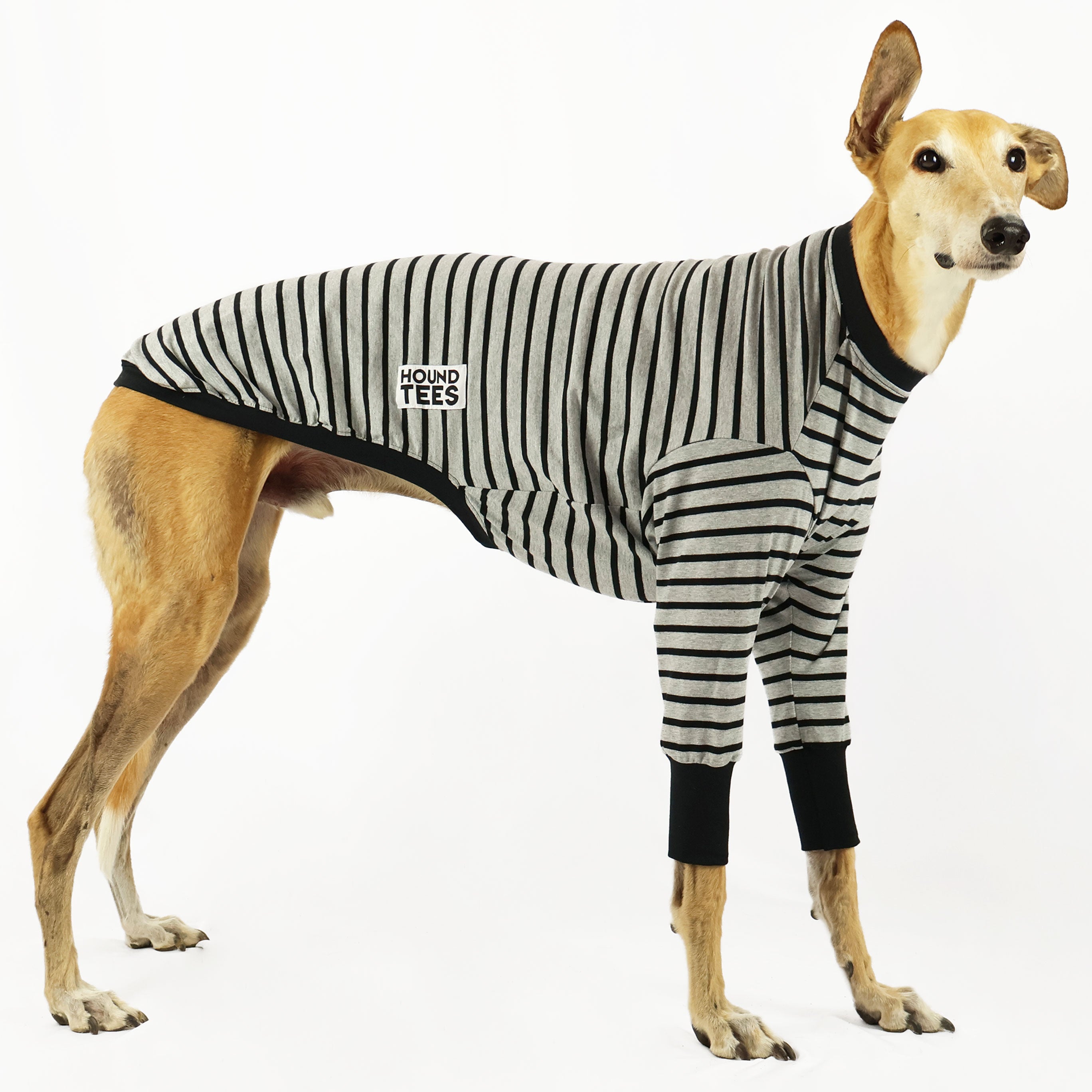 Baddie Greyhound Long Sleeve Hound Tee - Trendy Dog Lover Graphic T-Shirt for Women | Casual Streetwear, Pet Owner Fashion, Cute Dog Mom Outfit