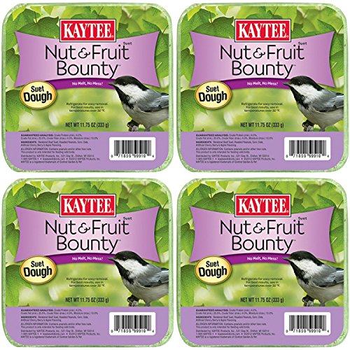 Kaytee 11.75 oz Nut & Fruit Bounty Suet Dough - 4 Pack Value Bundle | High Energy Bird Food for Wild Birds | Perfect for Backyard Feeders & Winter Bird Feeding