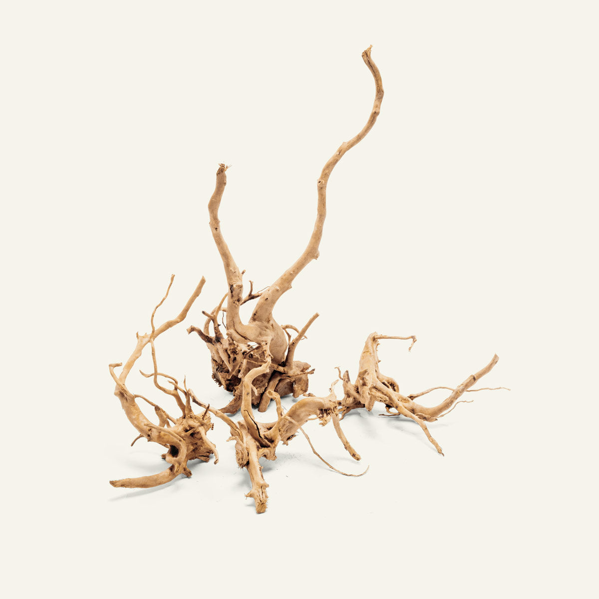 Natural Spider Wood for Aquarium Decor - Unique Driftwood for Fish Tanks, Reptile Habitats & Terrarium Landscaping (Ideal for Shrimp, Betta Fish & Aquatic Plants)