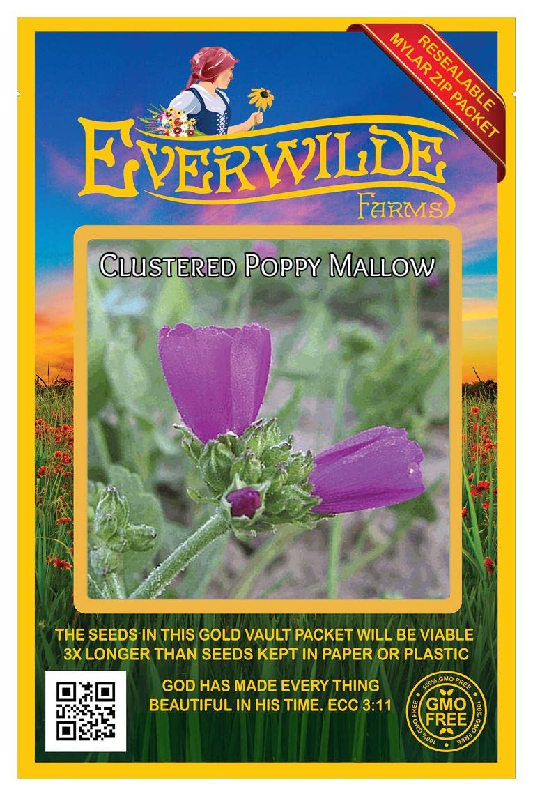 Everwilde Farms - 25 Clustered Poppy Mallow Native Wildflower Seeds - Gold Vault Seed Packet for Pollinator Gardens & Natural Landscaping