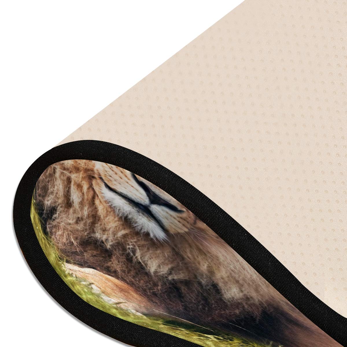ALAZA Lion Landscape Nature Scenery Collection Area Rug - 2' x 6' Non-Slip Floor Mat for Living Room, Bedroom, Kitchen - Perfect for Home Decor, Pet Play Area & Kids Room