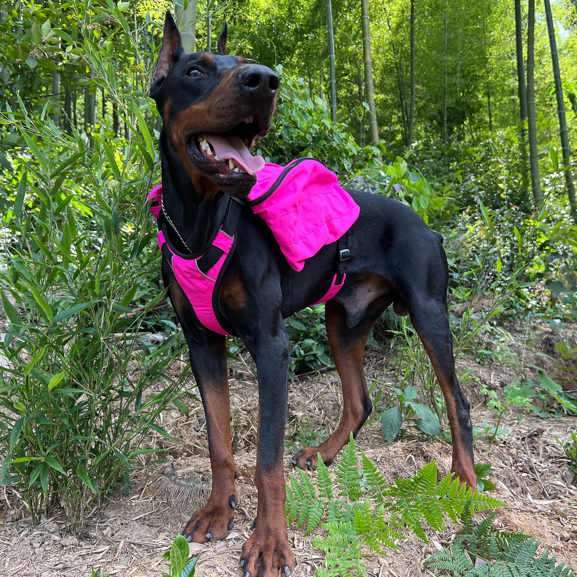 **Waterproof Dog Backpack for Hiking & Travel - Multifunctional Pet Carrier with 2 Spacious Side Pockets - Adjustable Outdoor Saddle Bag for Small, Medium & Large Dogs (Rose Red) - Perfect for Camping, Walks & Adventures**