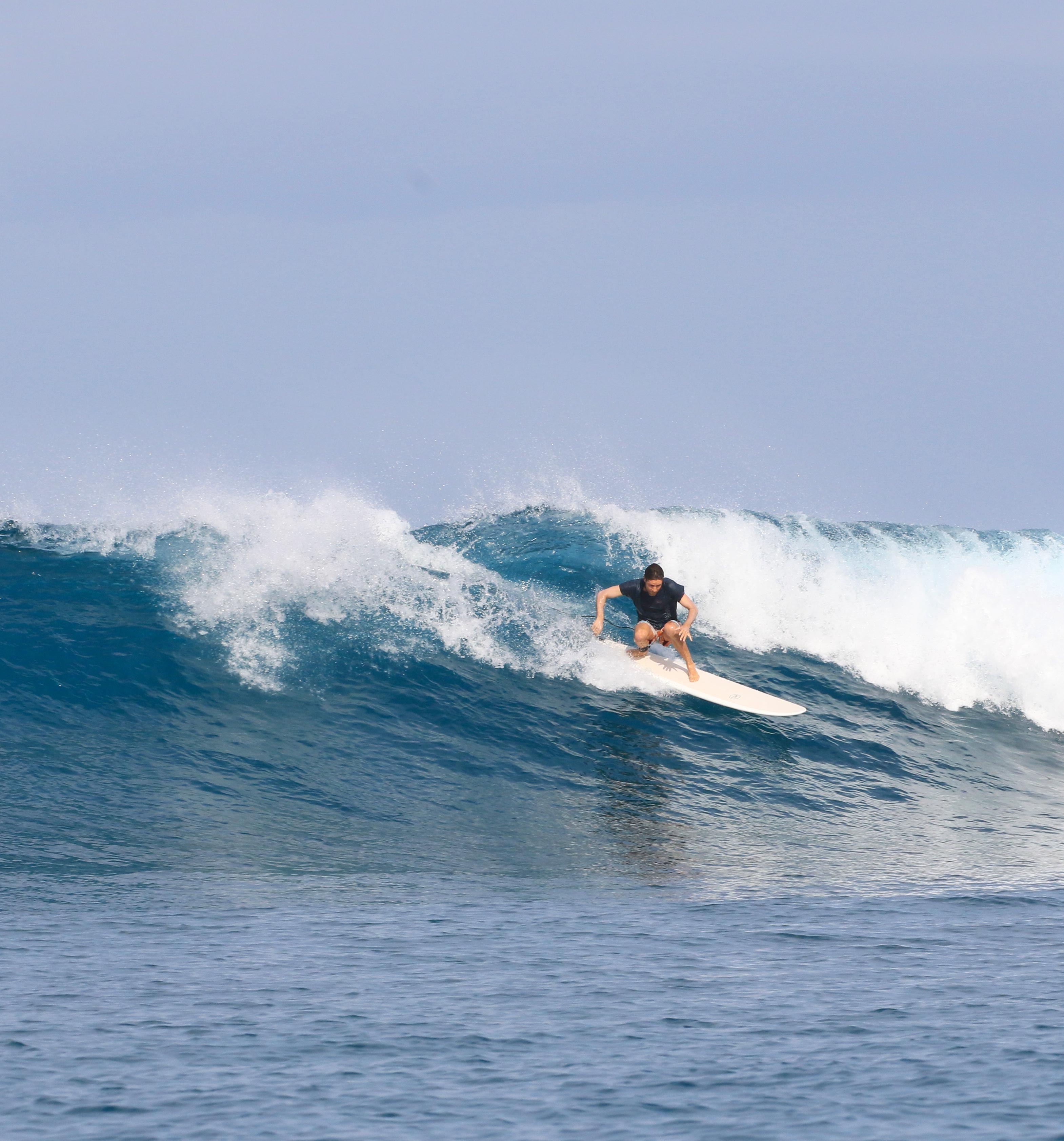 Premium Mahi Mahi Mini Mal Surfboard | Bamboo & White Design | Perfect for Beginners & Small Waves Surfing