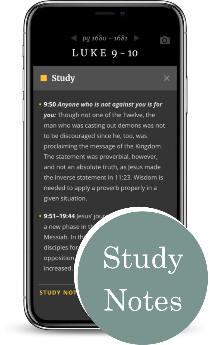 Large Print Thinline Bible - LeatherLike Aurora Cranberry | Free Bible App for Devotionals & Worship Music | Perfect for Church & Bible Study