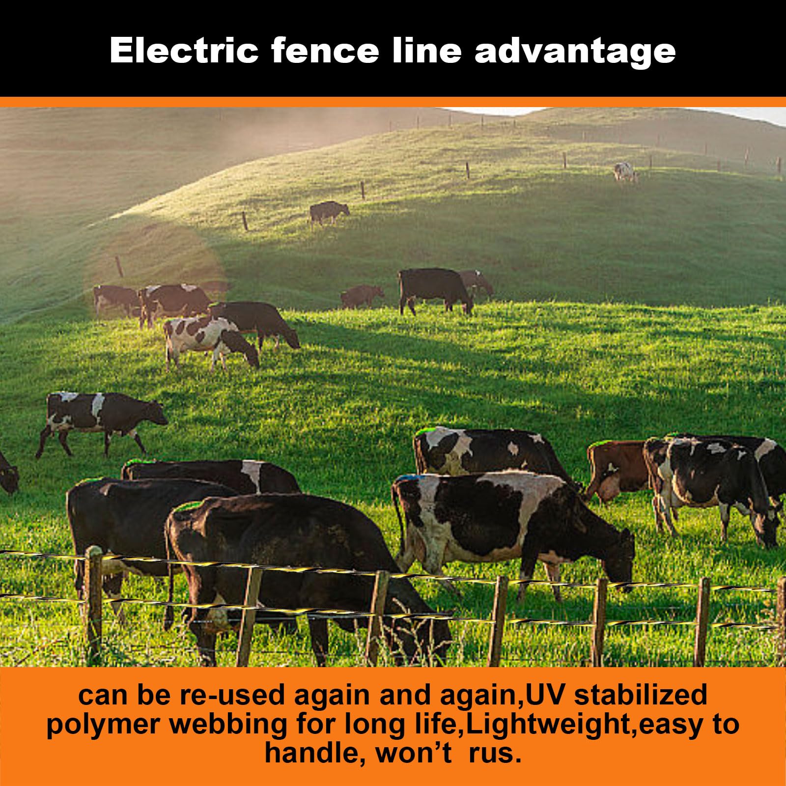 Upgraded Electric Fence Polywire - 3366 ft (1026 m) 1/8