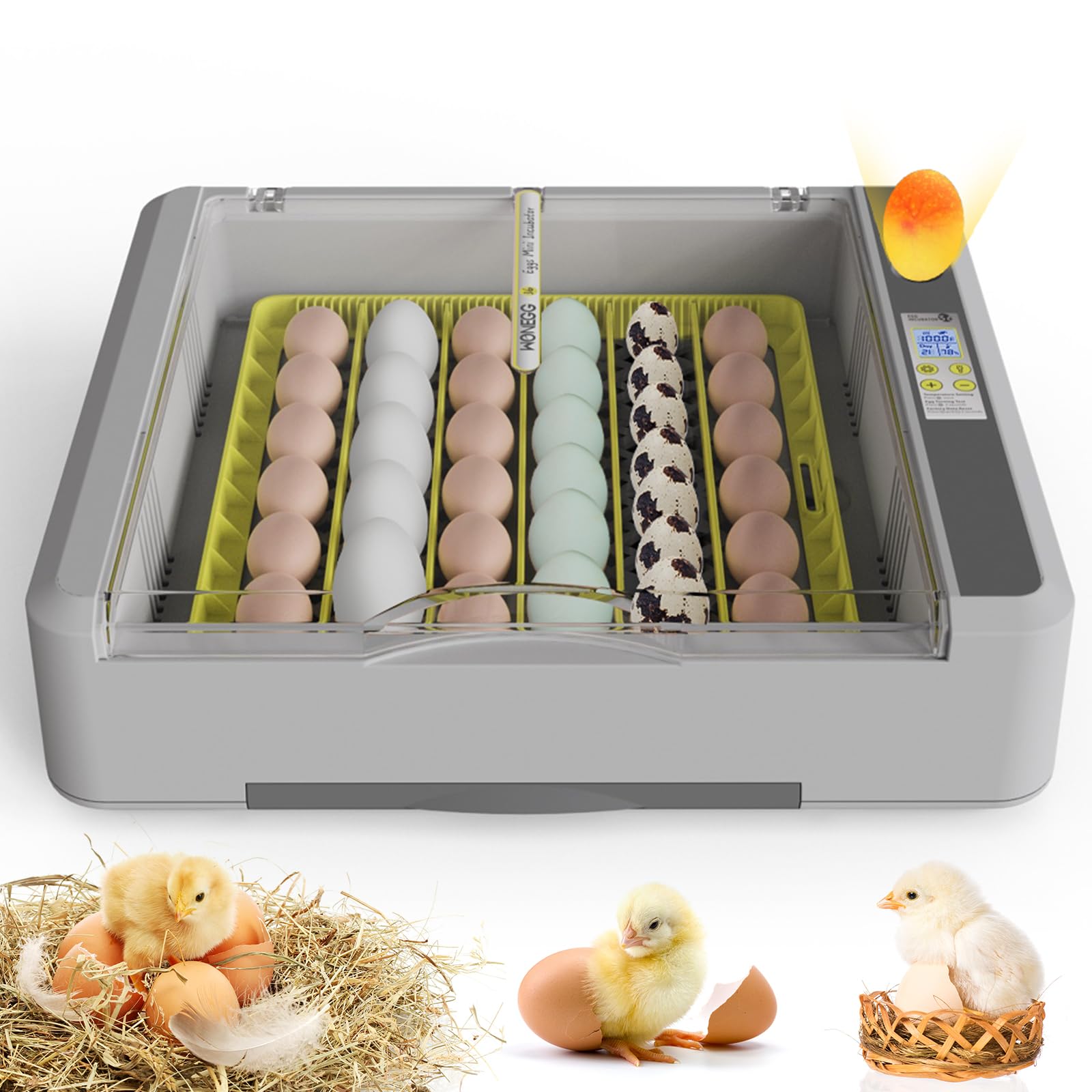 Automatic Egg Incubator for 36 Chicken Eggs - Digital Temperature & Humidity Control, Auto Egg Turner, Built-in Candler, Adjustable Tray for Quail, Duck, Poultry - Perfect for Home Hatchery, Farm Use & Classroom Science Projects