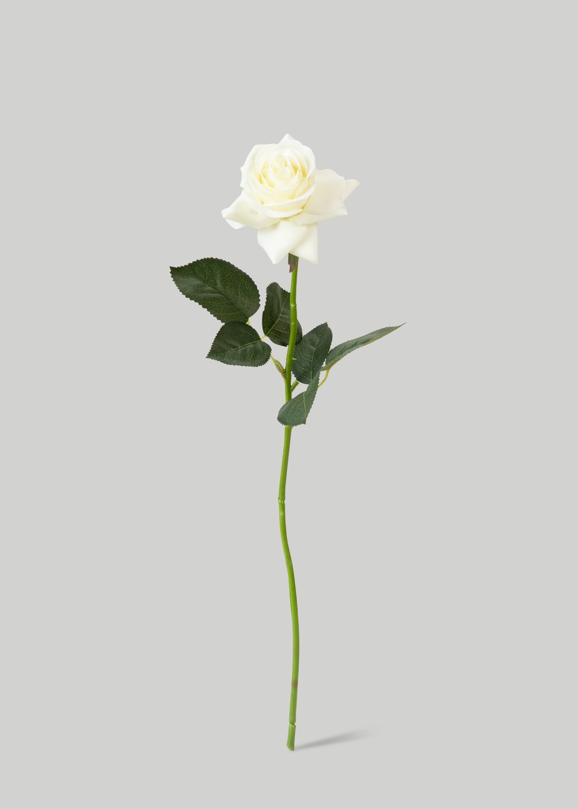48 Pack Real Touch Artificial Roses in Cream - 17 Inch Lifelike Faux Flowers for Wedding Decor, Home Centerpieces, and Event Arrangements