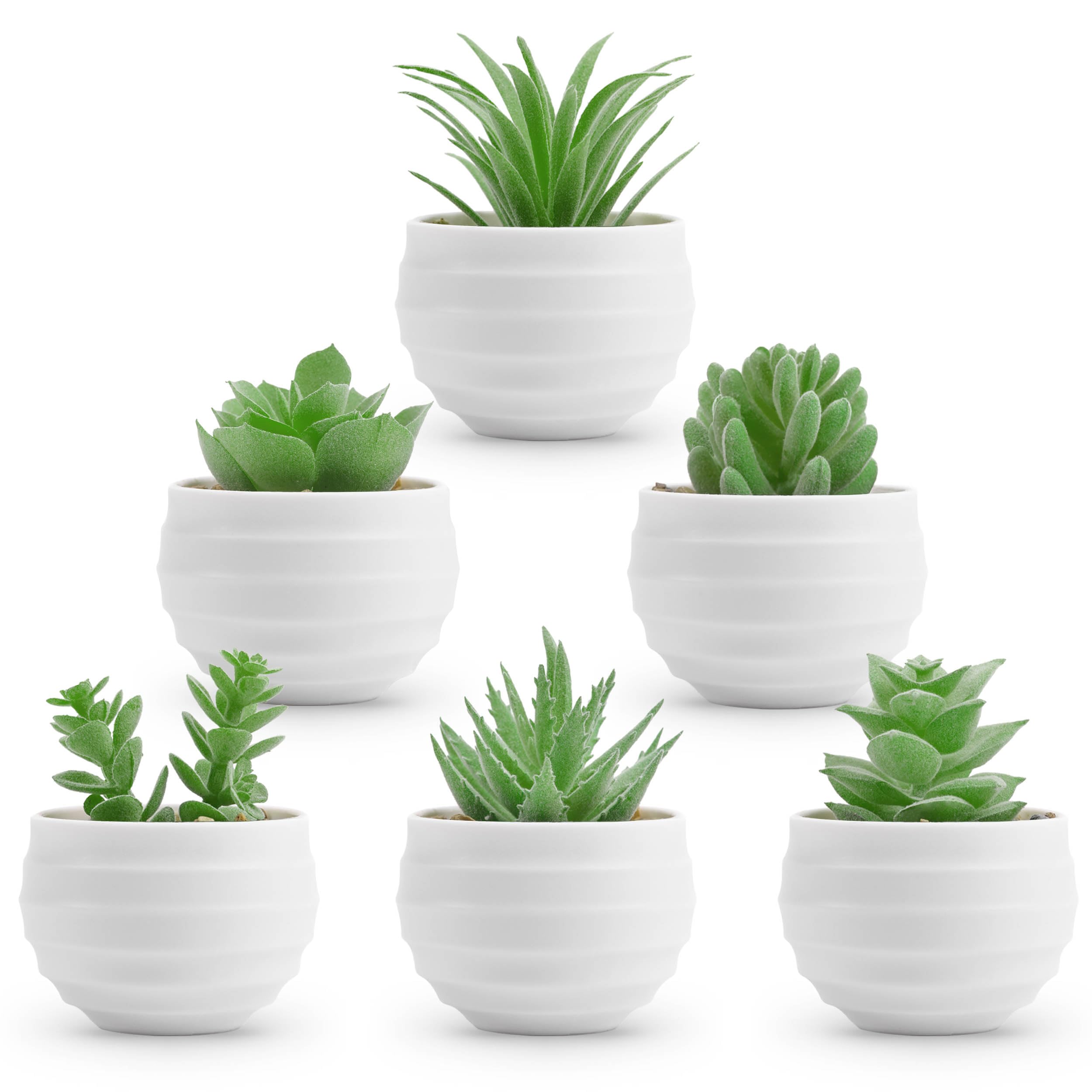 6 Pack Fake Succulents Plants - Realistic Artificial Small Succulents for Home & Room Decor - Perfect for Indoor Spaces, Office Desks, and Wedding Centerpieces