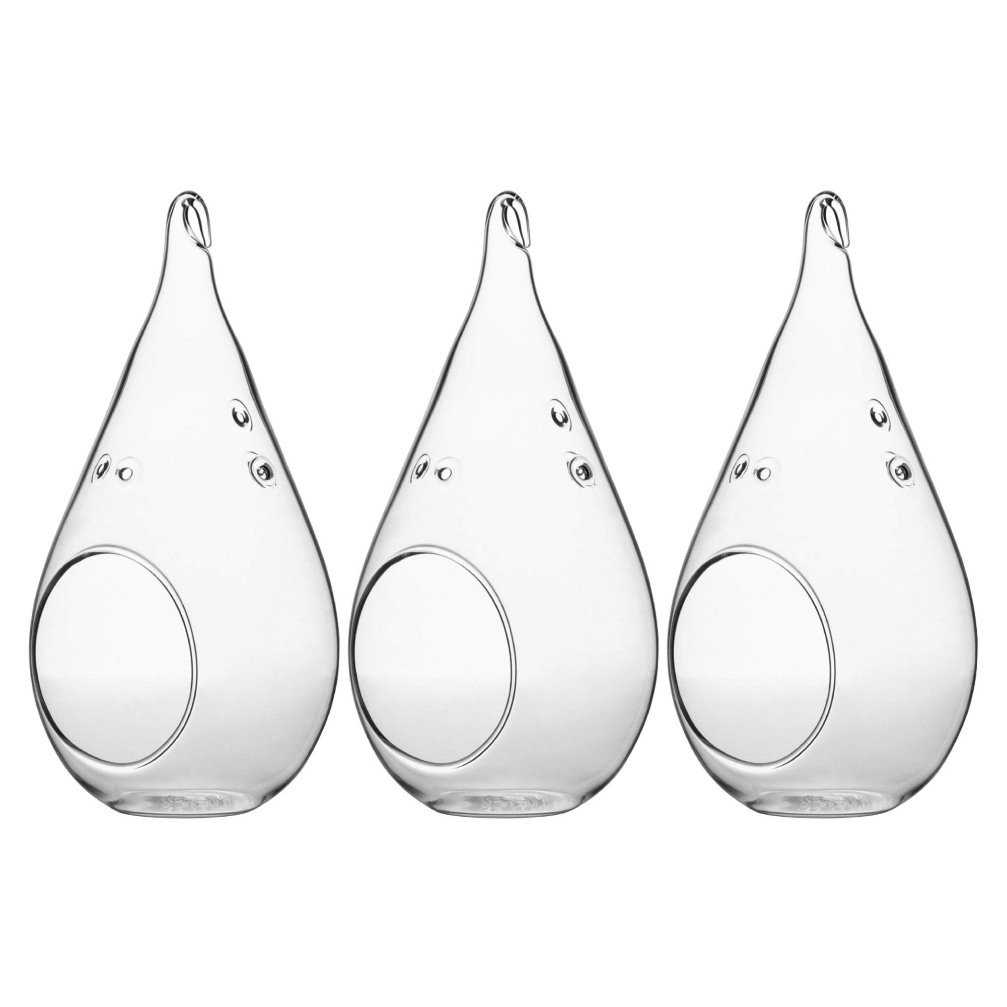 WGV Glass Hanging Plant Terrarium - 3.5