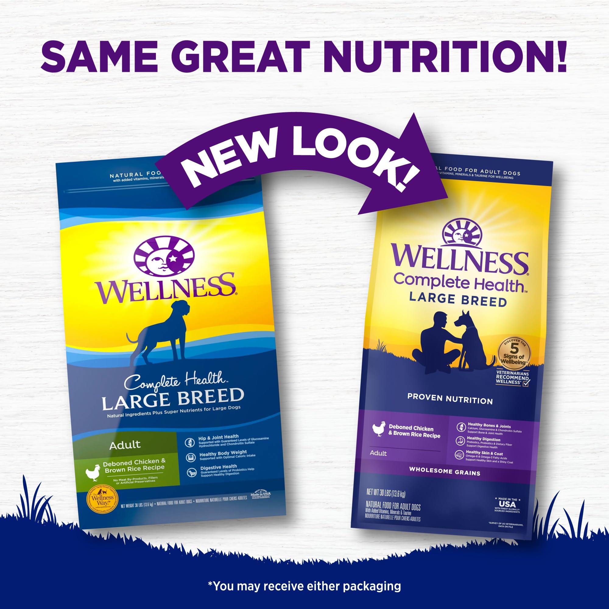 Wellness Complete Health Natural Dry Dog Food for Large Breeds - Chicken & Brown Rice Recipe with Wholesome Grains (30 lb Bag) | High Protein Adult Dog Food for Joint Health & Digestion | Perfect for Active Dogs & Daily Nutrition