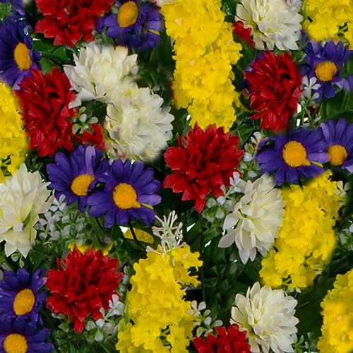 Yellow Red