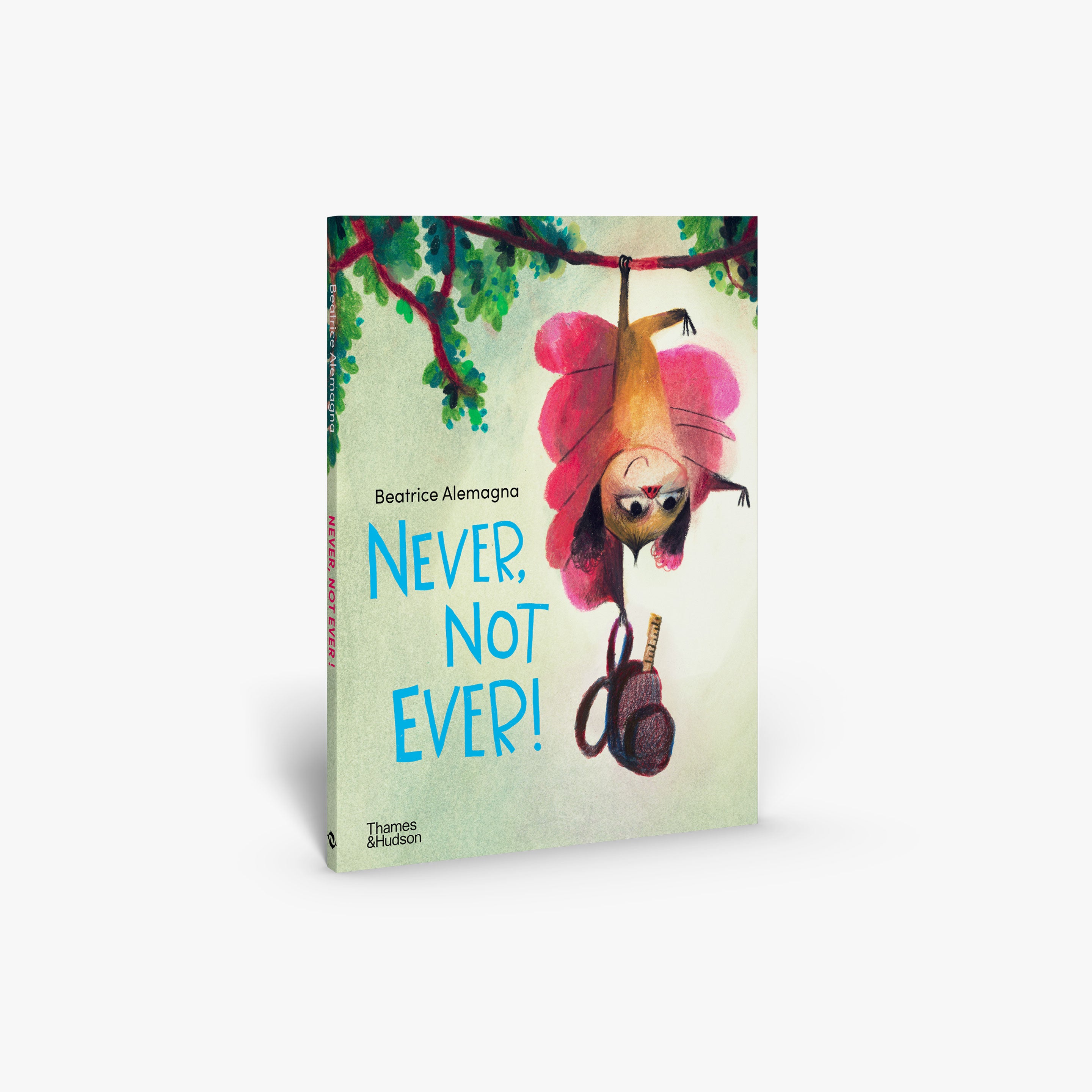 Never, Not Ever! - Motivational Quote Wall Art for Home & Office Decor - Perfect for Living Room, Bedroom, or Workspace Inspiration