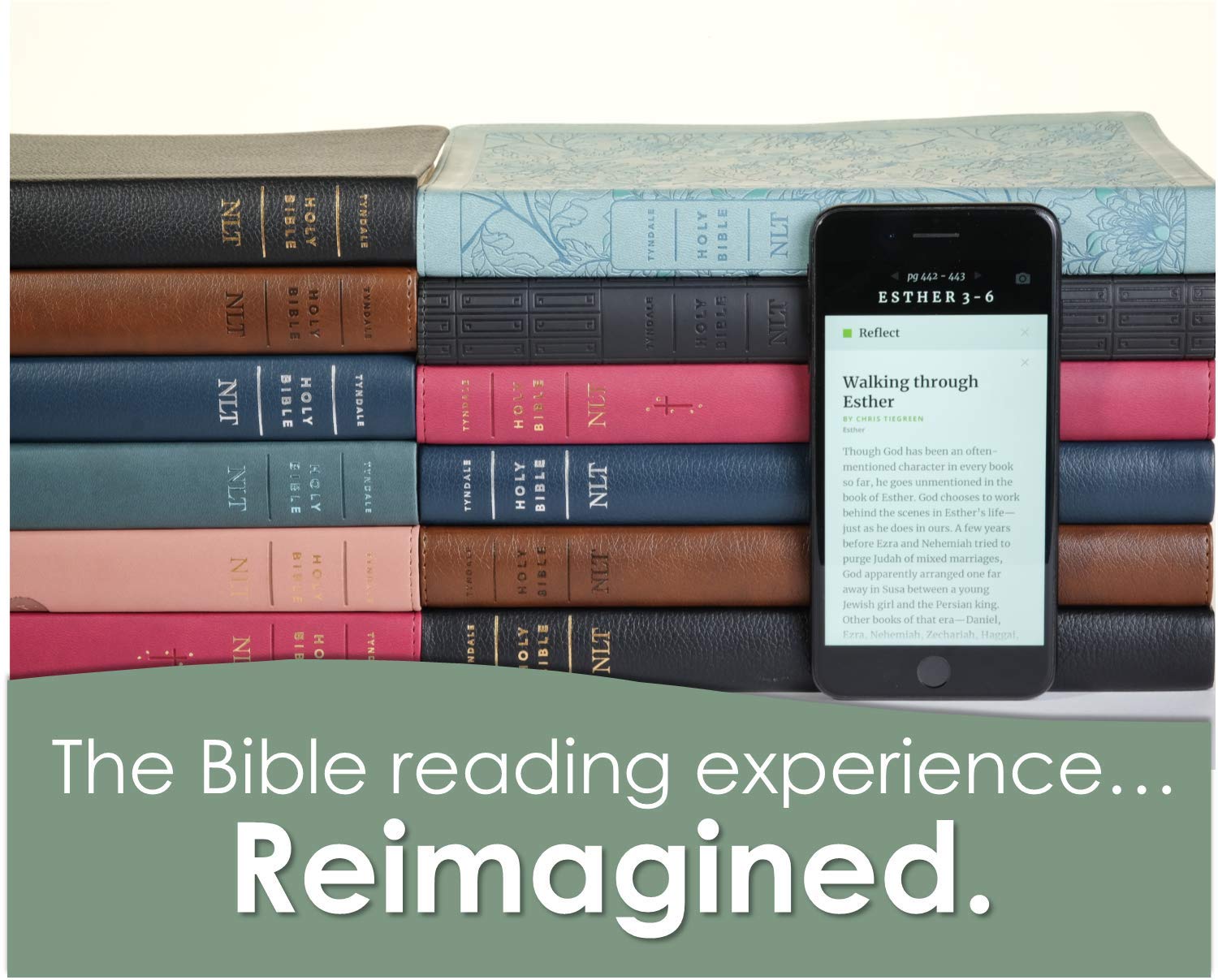 Large Print Thinline Bible - Genuine Leather, Indexed for Easy Reading & Study