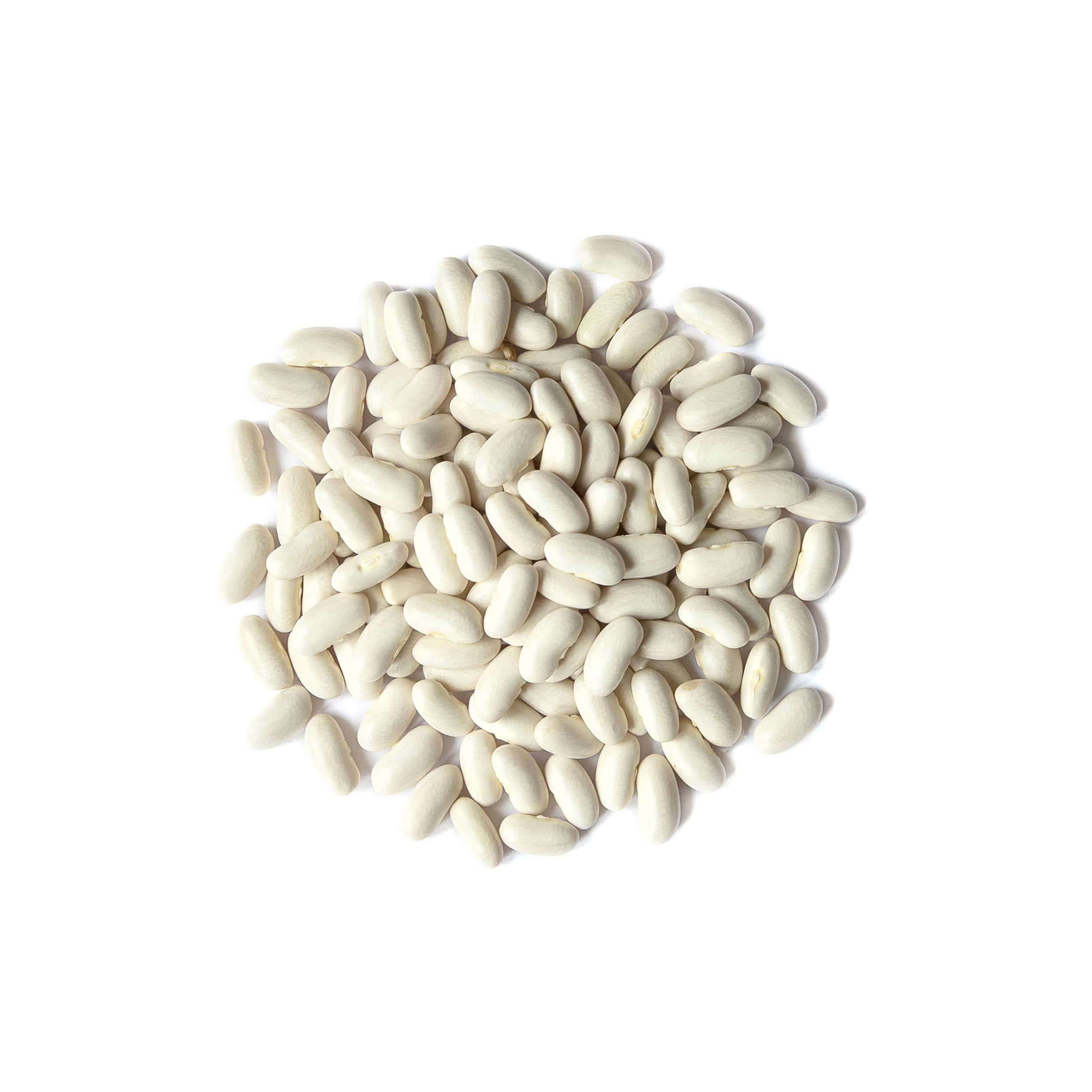 Food to Live - 25 lbs Dried Cannellini White Kidney Beans | Sproutable, Vegan, Kosher, Sirtfood Certified | High in Fiber & Protein | Perfect for Minestrone Soup, Bean Salads, Stews, White Chili | Bulk Pantry Staples for Healthy Cooking & Meal Prep