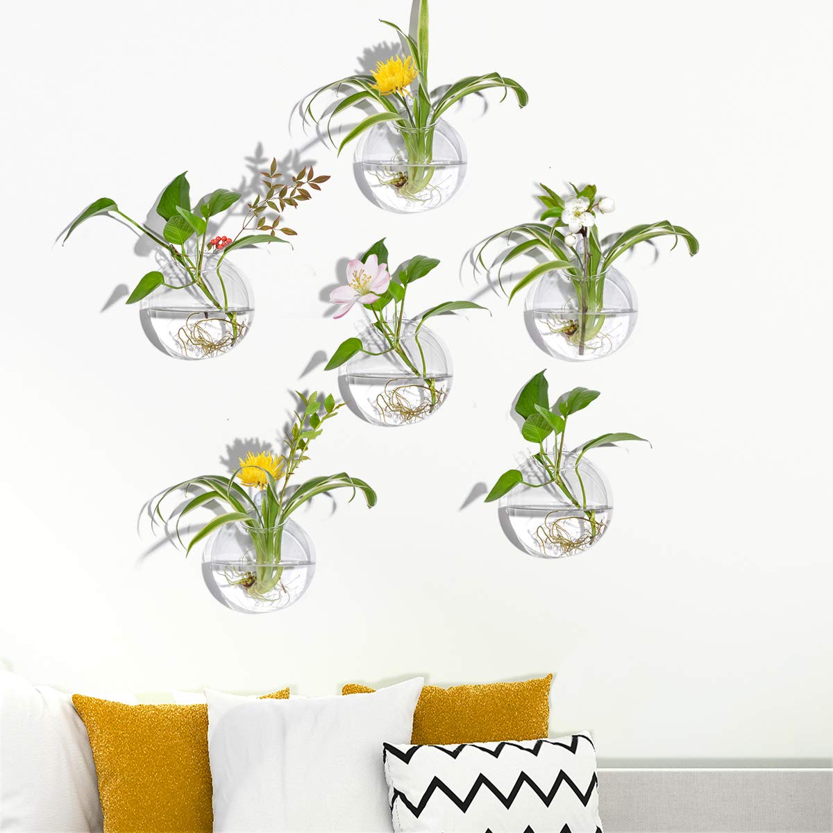 6 Pack Round Glass Wall Hanging Planters - Air Plant Terrariums & Flower Vase for Indoor/Outdoor Decor - Perfect for Succulents, Herbs & Home Garden Display